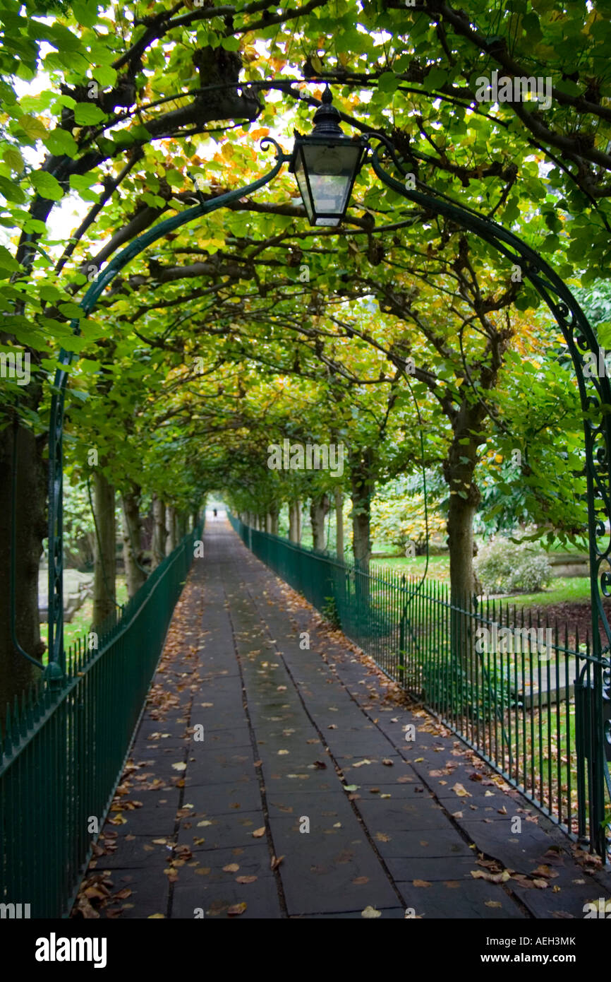 Birdcage a piedi in Clifton Bristol pavimentata a piedi al di sotto della calce archway Foto Stock