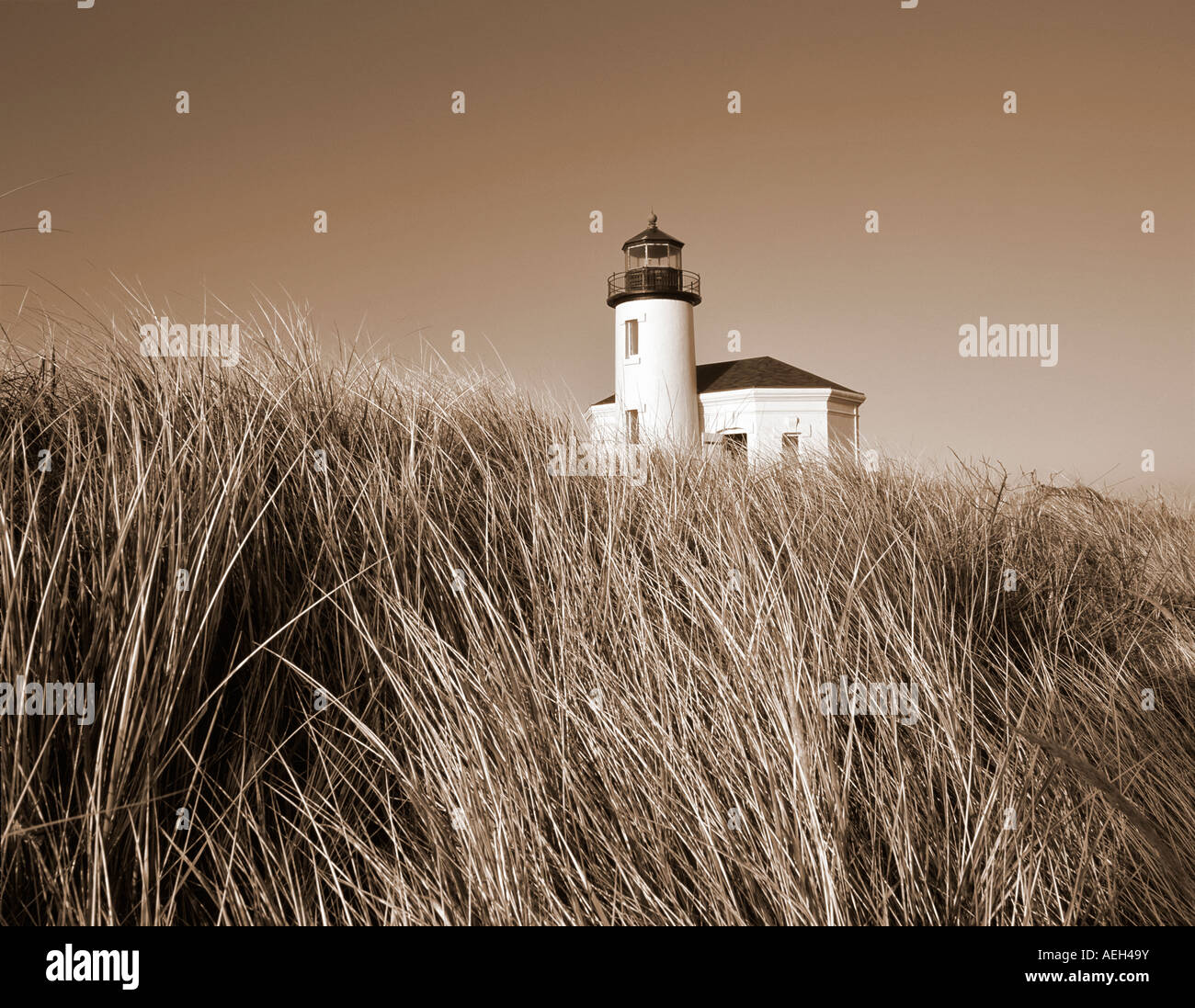 Fiume Coquille Faro e duna di erba Oregon Foto Stock