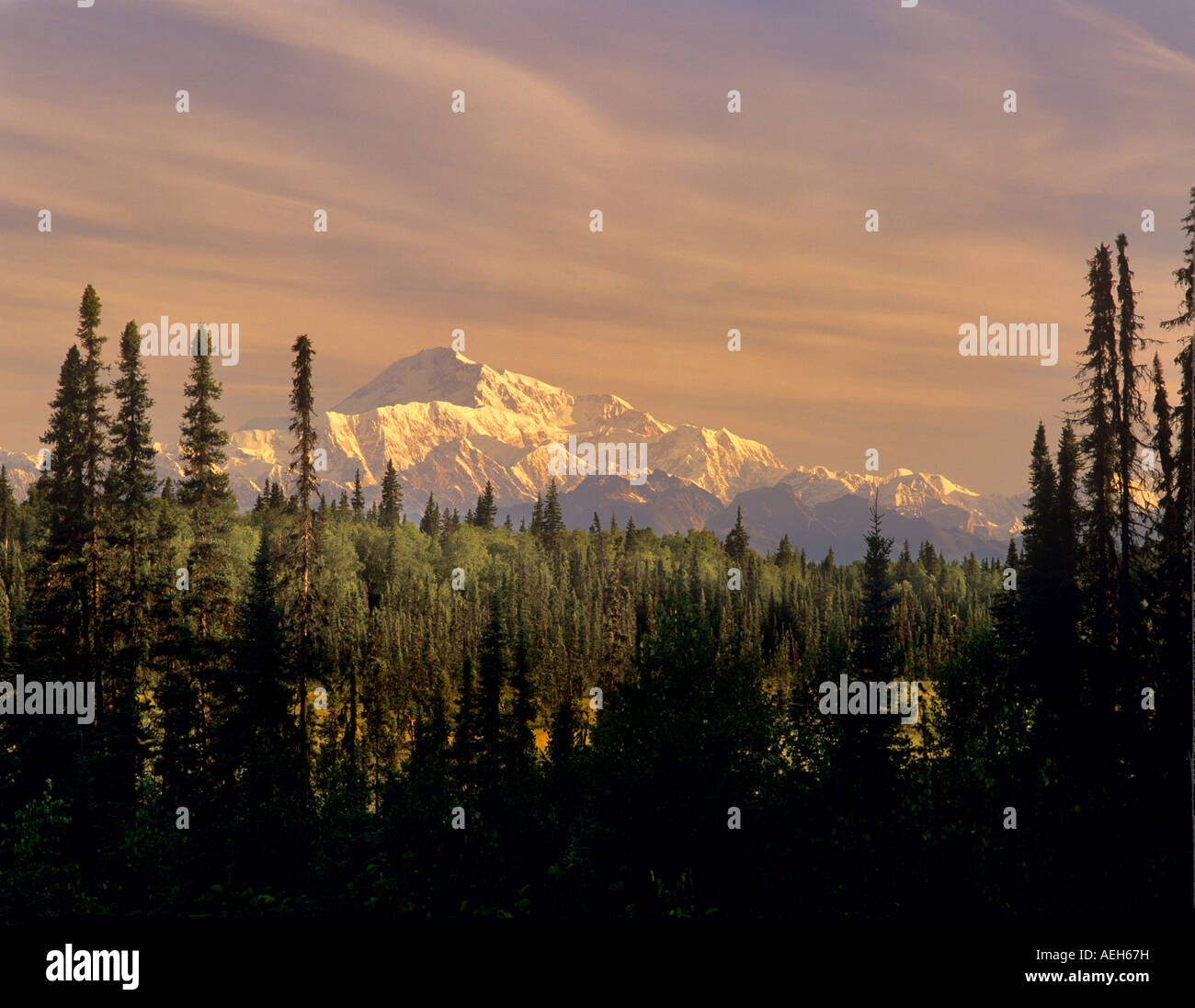 Alba sul Monte McKinley vicino a Talkeetna Alaska Foto Stock