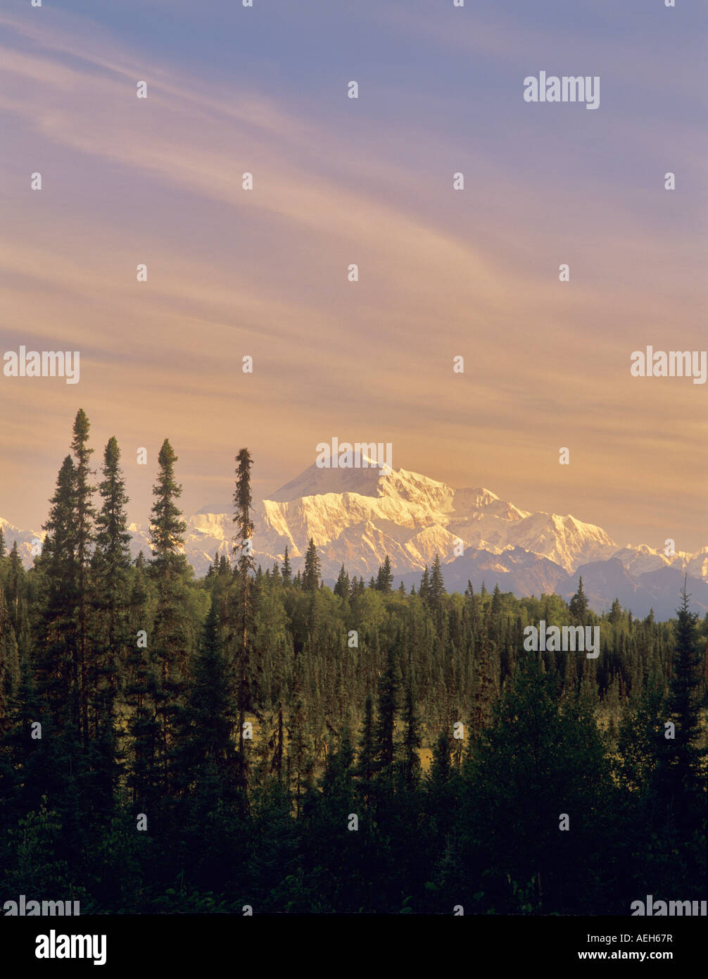 Alba sul Monte McKinley vicino a Talkeetna Alaska Foto Stock