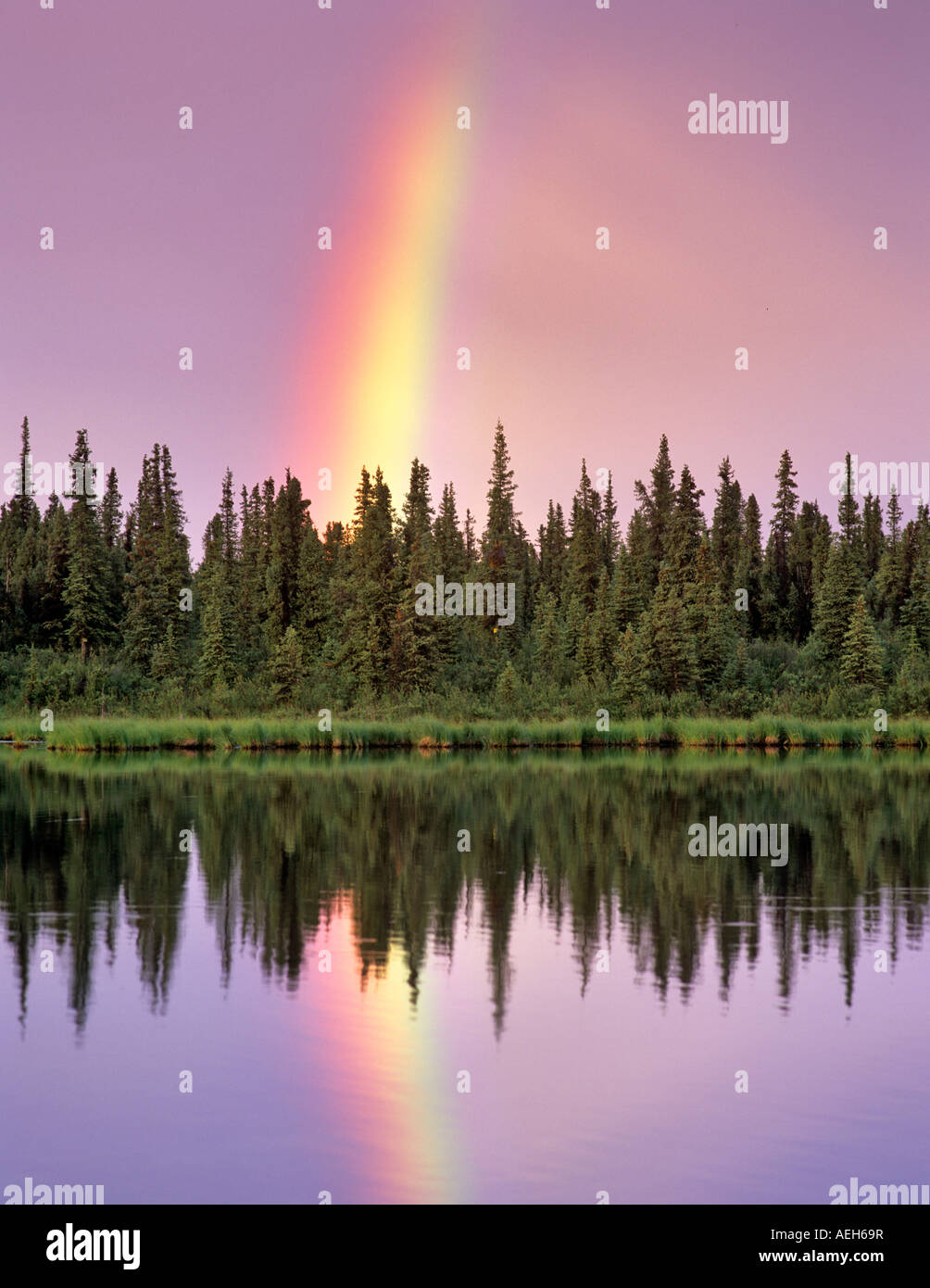 Rainbow si riflette nelle lagune del Fiume Gulkana Alaska Foto Stock