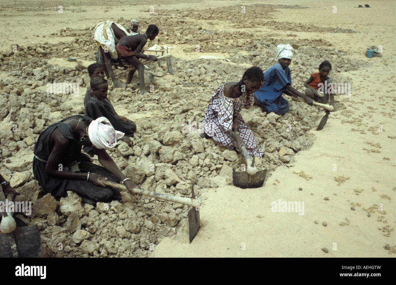 Mali Gao, il deserto del Sahara, la gente lo scavo per qualcosa di mangiabile come le radici. Siccità del 1984 e 1985 Foto Stock