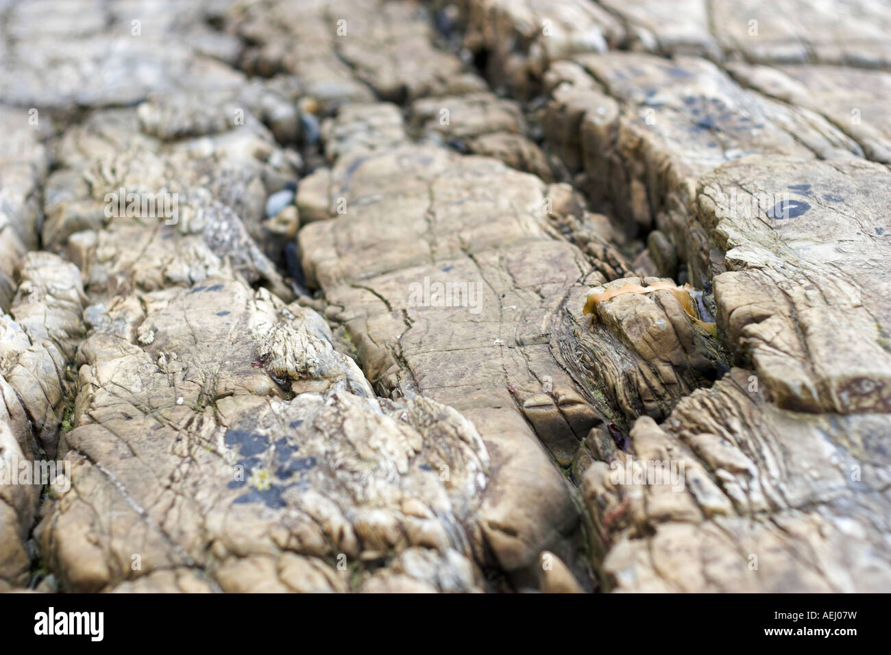 Weathered tessitura della pietra Foto Stock