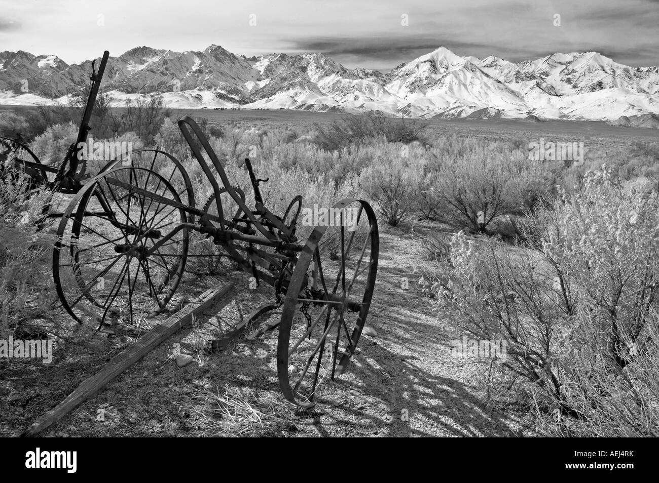Antichi attrezzi agricoli museo della Sierras orientale indipendenza California Foto Stock