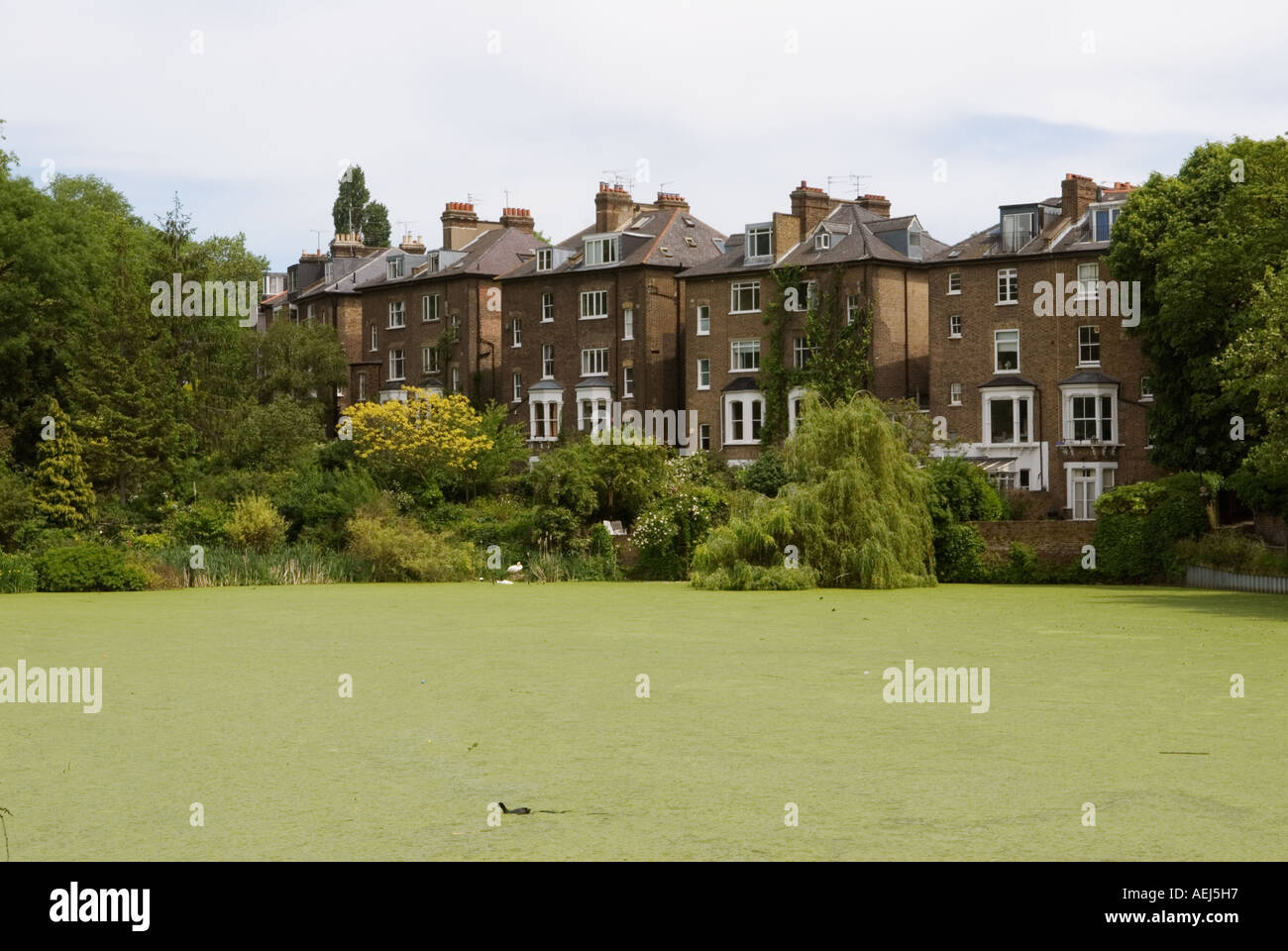 Hampstead Heath stagni, Hampstead, London NW3 Inghilterra foto HOMER SYKES Foto Stock