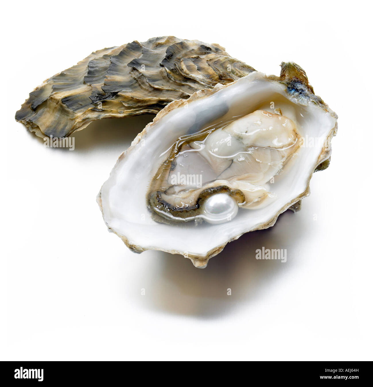 Ostrica aperta e perla tagliata fuori sfondo bianco tagliato Foto Stock