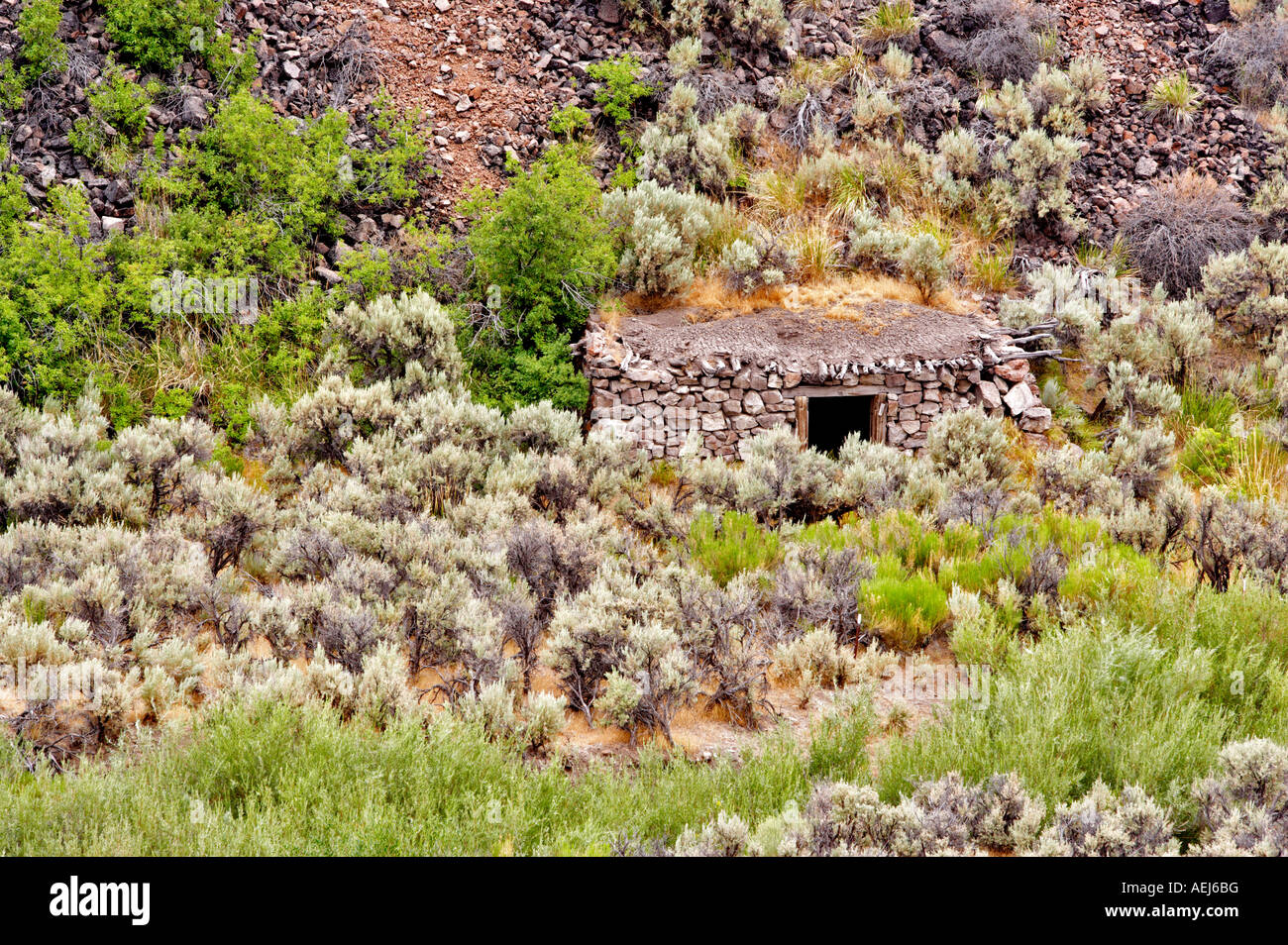 Cabina Toolhouse Black Rock Desert National Conservation Area Nevada Foto Stock