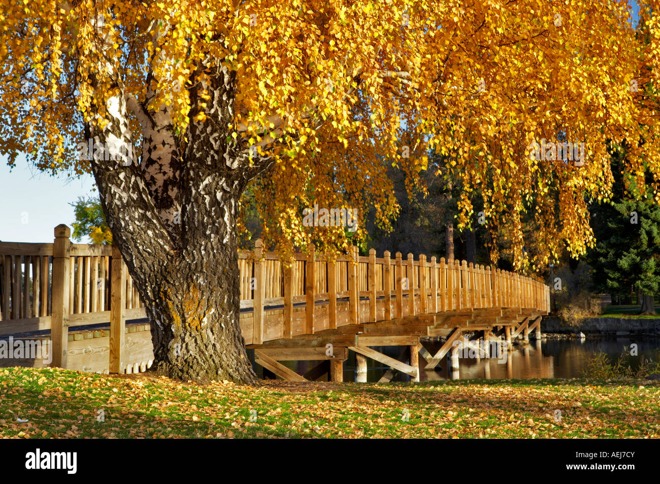 Percorso il ponte attraversa il fiume Deschutes al Drake Park con l'autunno di Aspen Bend Oregon centrale Foto Stock