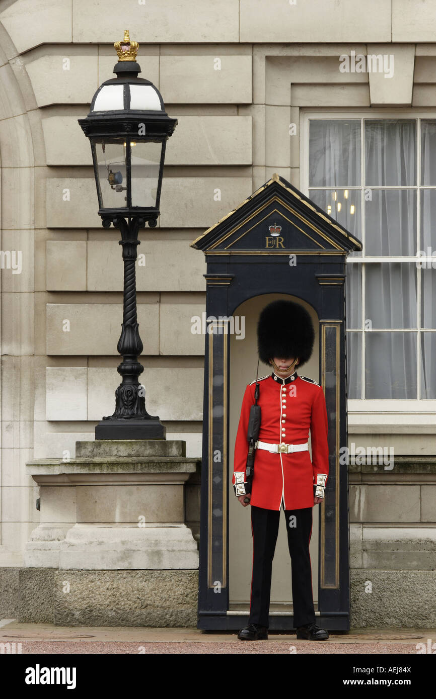 Guardia, Buckingham Palace, London, England, Gran Bretagna Foto Stock