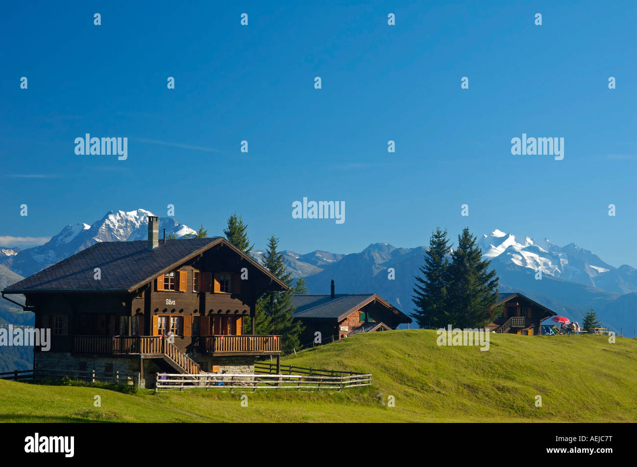 Chalet, Bettmeralp, Vallese, Svizzera, Europa Foto Stock