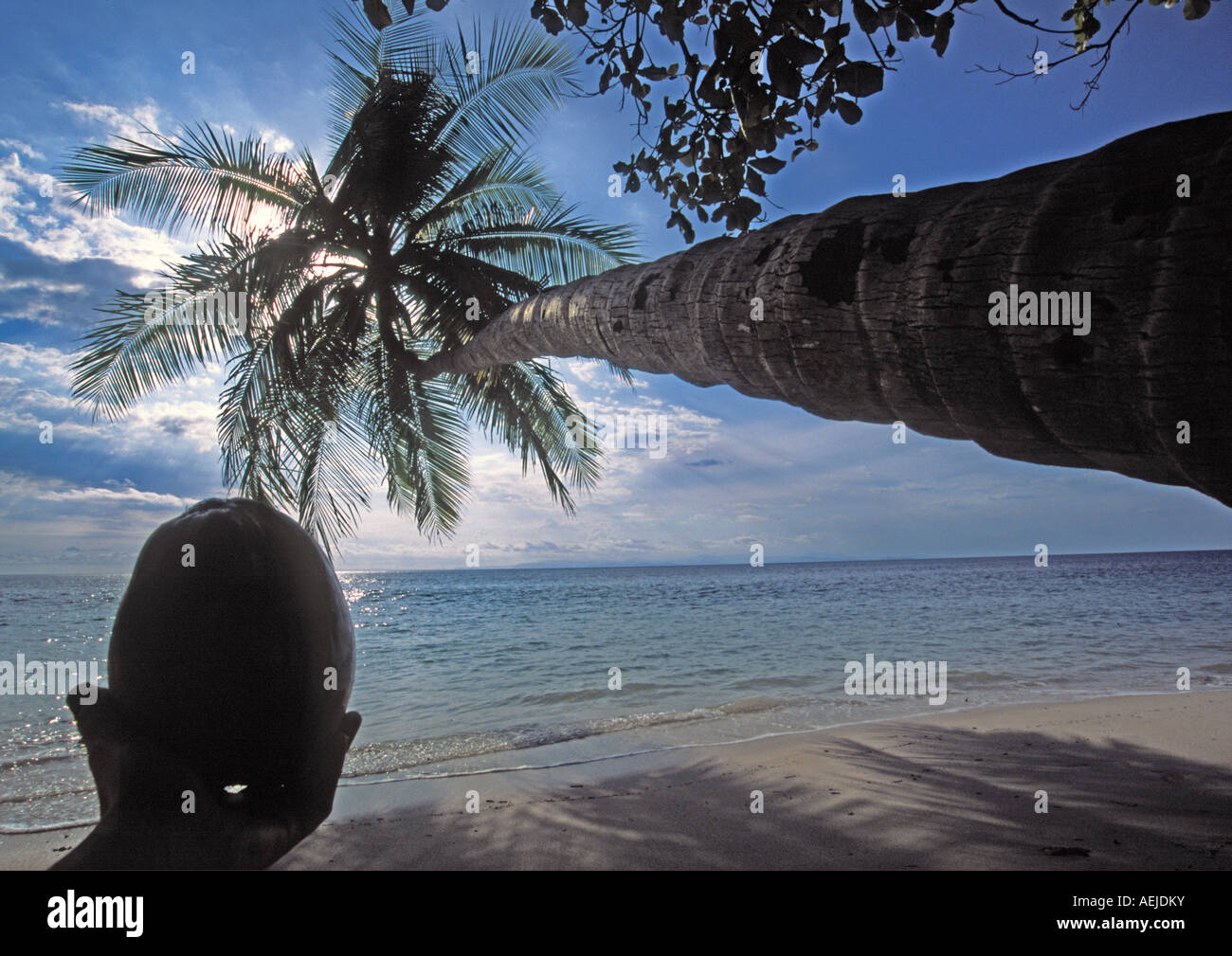 Albero di palma e cocco in una spiaggia della Costa Rica all'Oceano Pacifico, costa ovest a Punta Leona Foto Stock