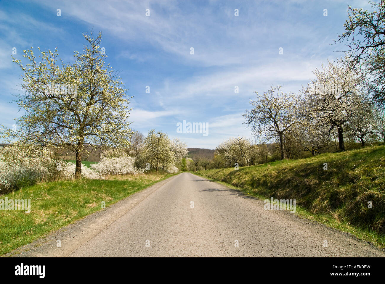 La strada attraverso il Hassberge in primavera, bassa Franconia, Baviera, Germania Foto Stock
