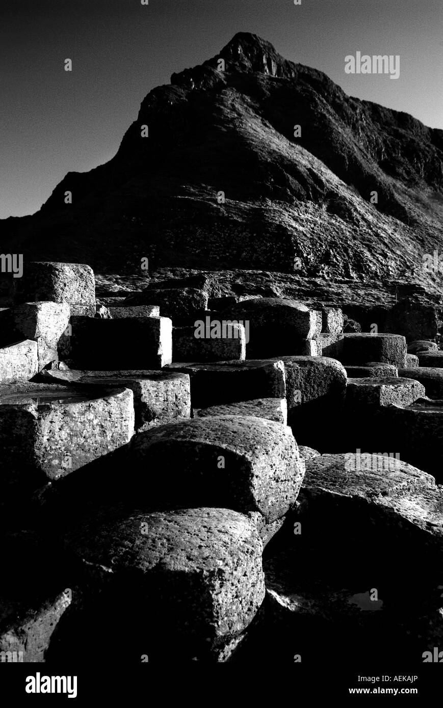 Giants Causeway costa di Antrim Irlanda del Nord Ulster Foto Stock
