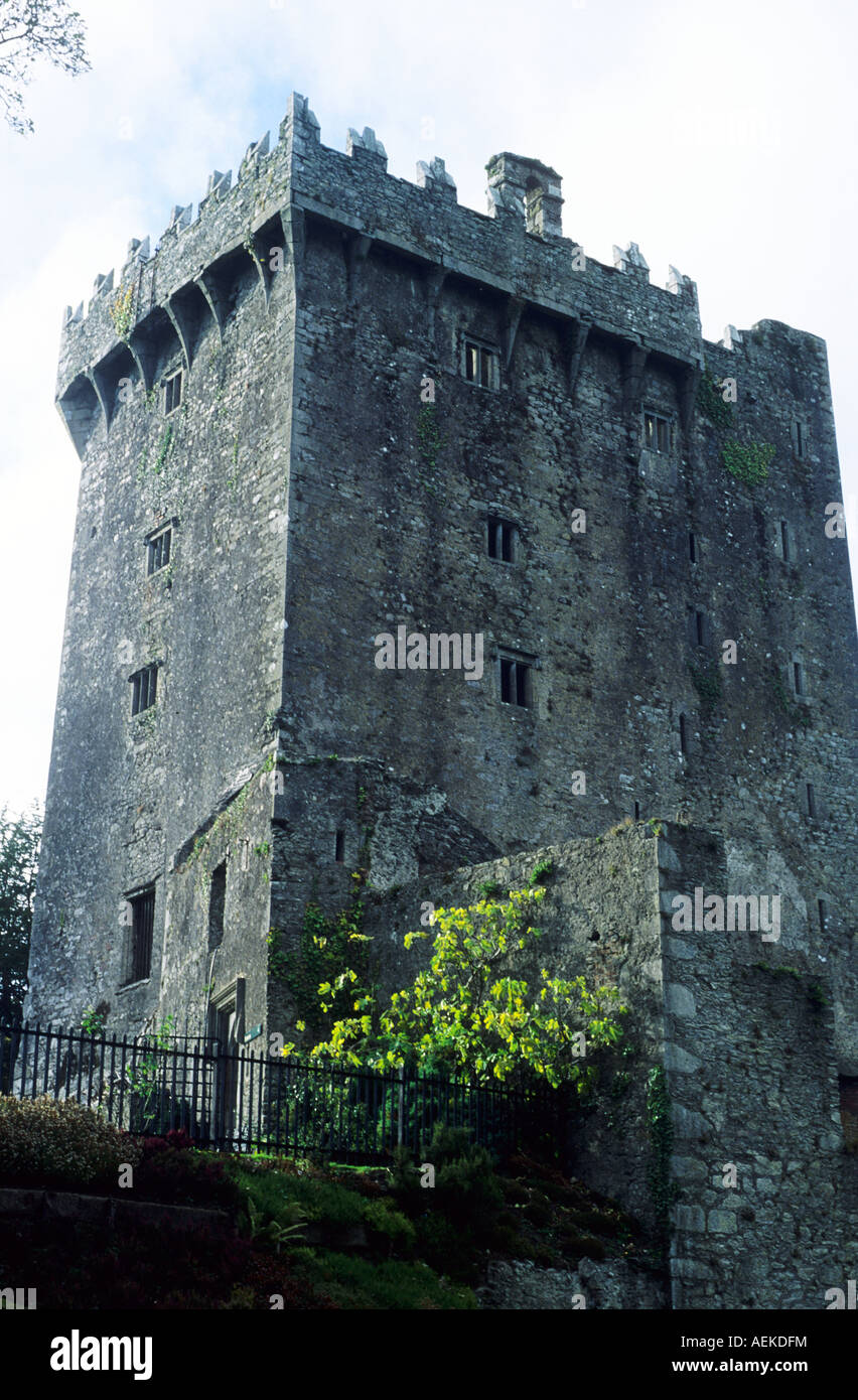 Blarney Castle nella contea di Cork Eire Irlanda Foto Stock