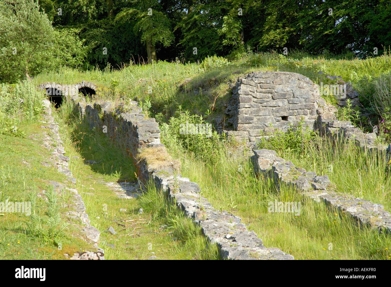 La fusione di piombo Tubi Certosa Foto Stock