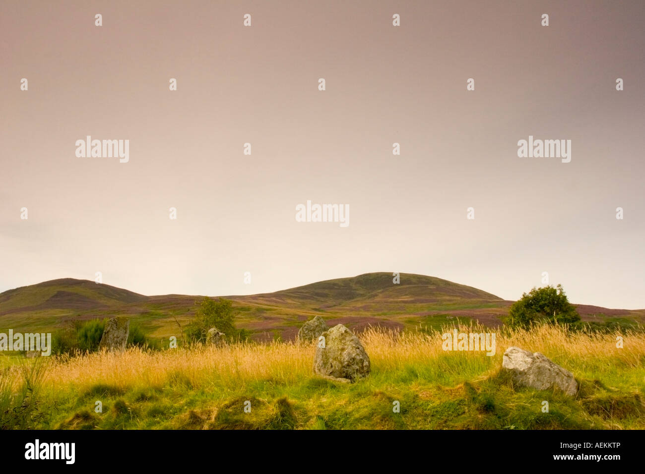 Pietre permanente a Colmealie, Glen Esk, Angus, Scozia Foto Stock