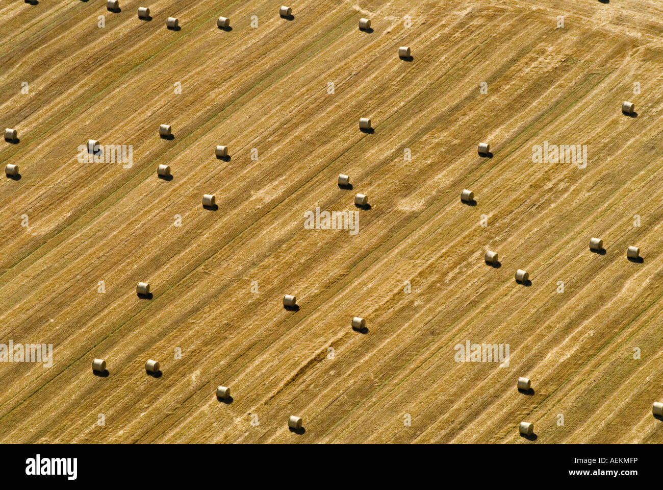 Vista aerea campagna inglese e balle di fieno Northamptonshire UK. HOMER SYKES Foto Stock