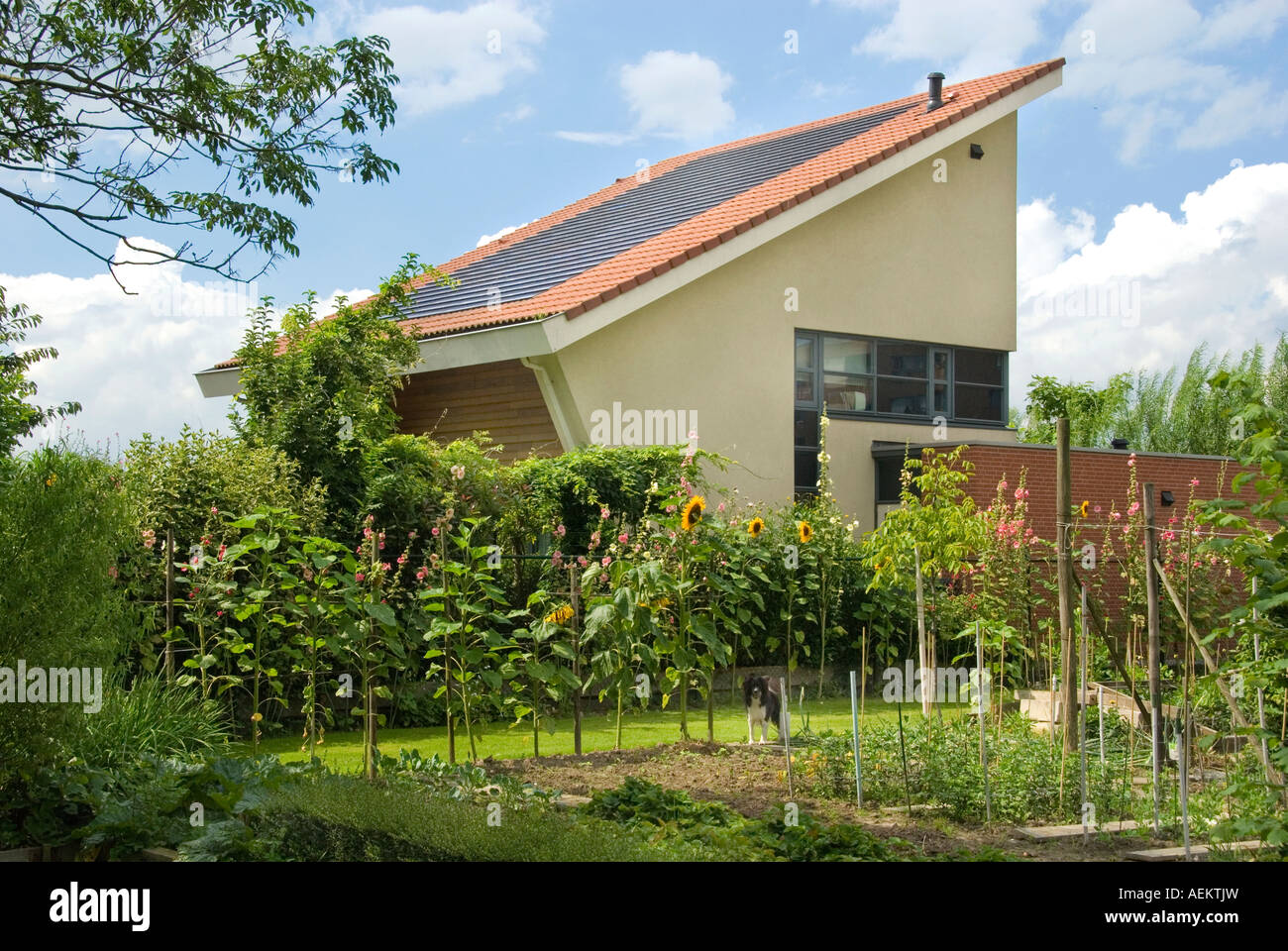 Energeticamente efficiente e rispettosa dell'ambiente case Foto Stock