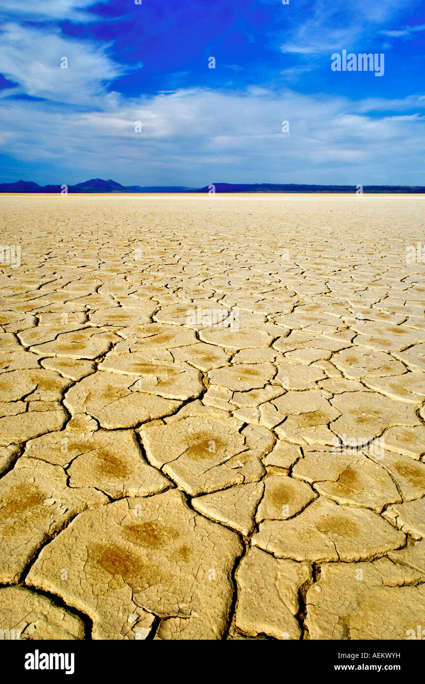 Deserto Alvord con modelli di fango Oregon Foto Stock