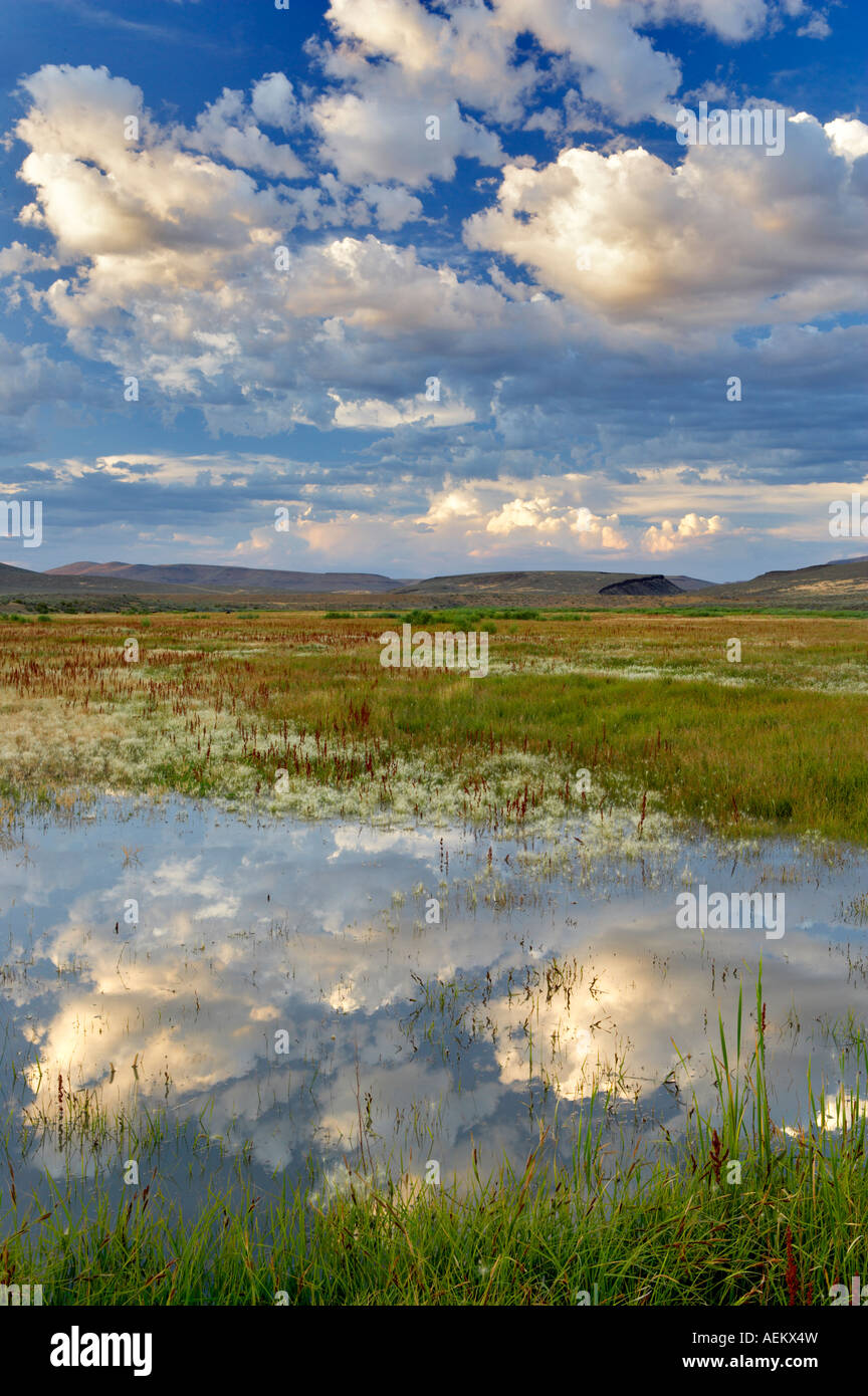 Tramonto nuvole sopra pond Black Rock Desert National Conservation Area Nevada Foto Stock