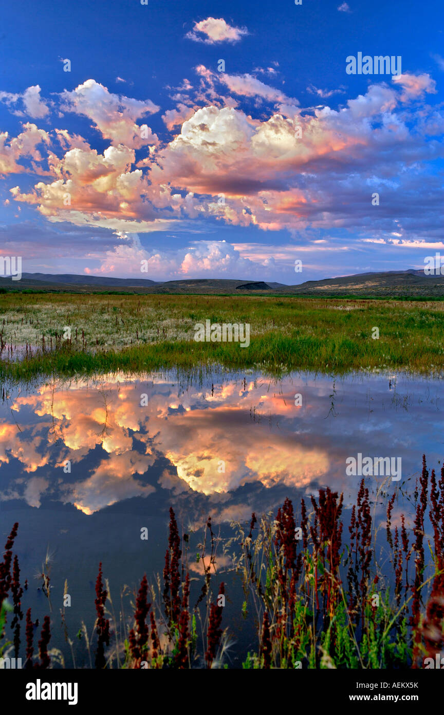 Tramonto nuvole sopra pond Black Rock Desert National Conservation Area Nevada Foto Stock
