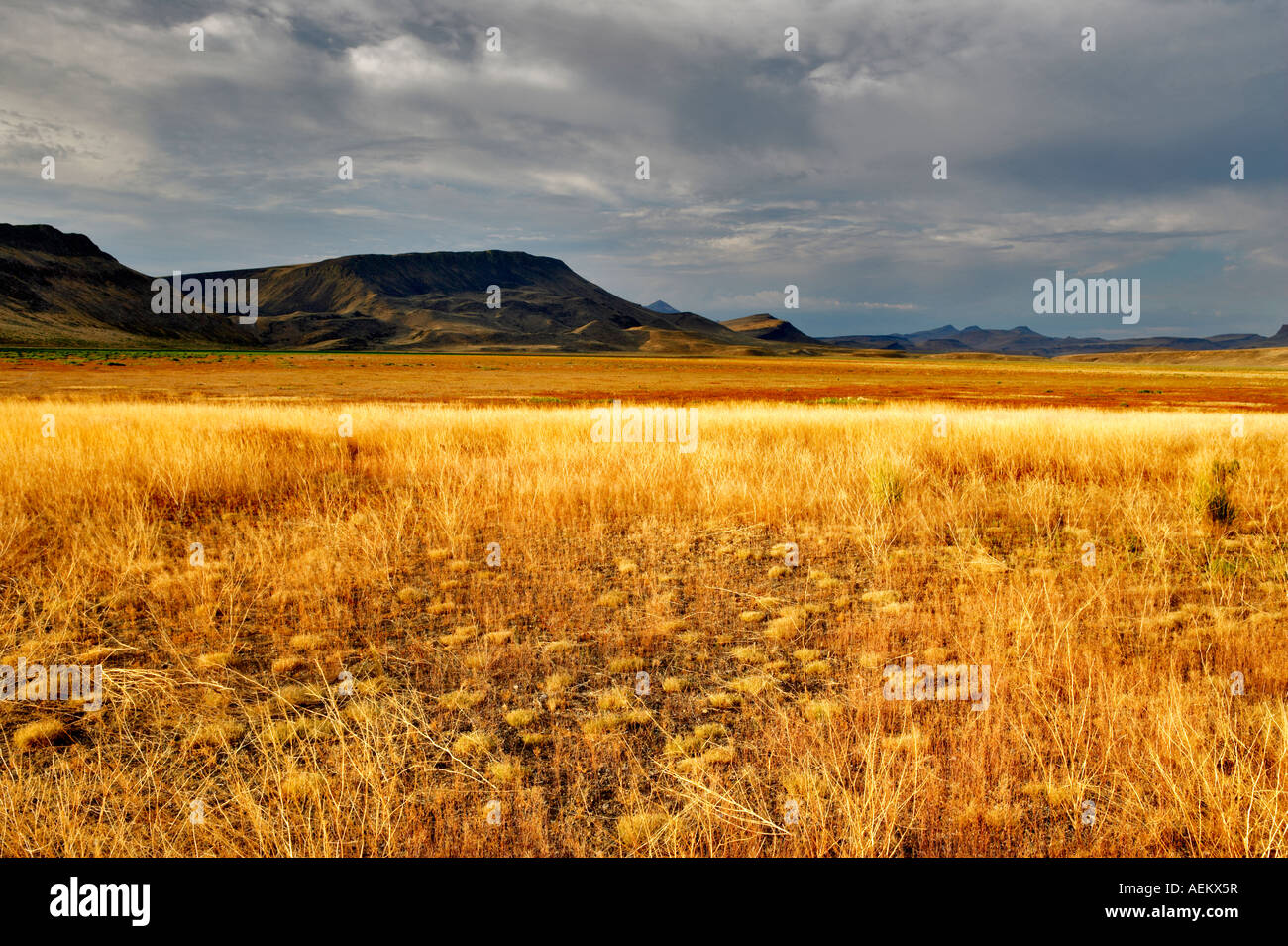 Prato di fango serbatoio senza acqua Black Rock Desert National Conservation Area Nevada Foto Stock