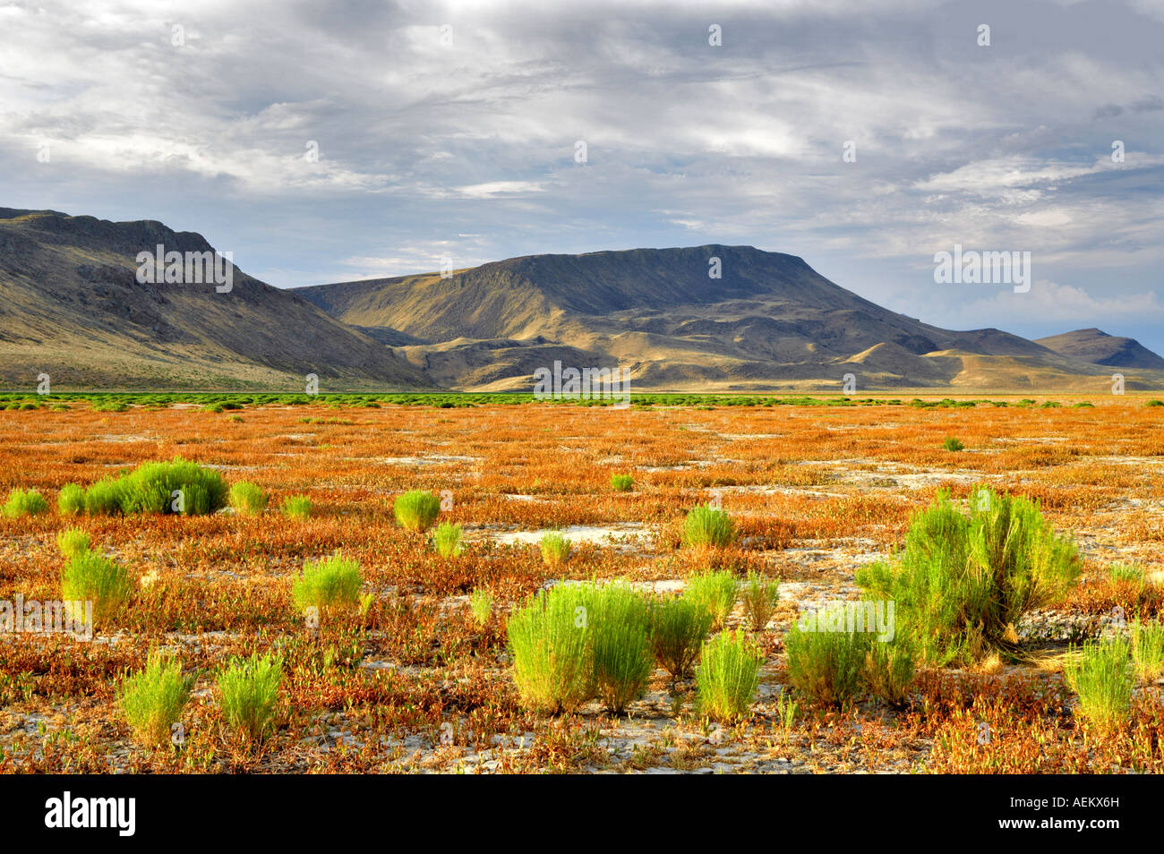 Prato di fango serbatoio senza acqua Black Rock Desert National Conservation Area Nevada Foto Stock