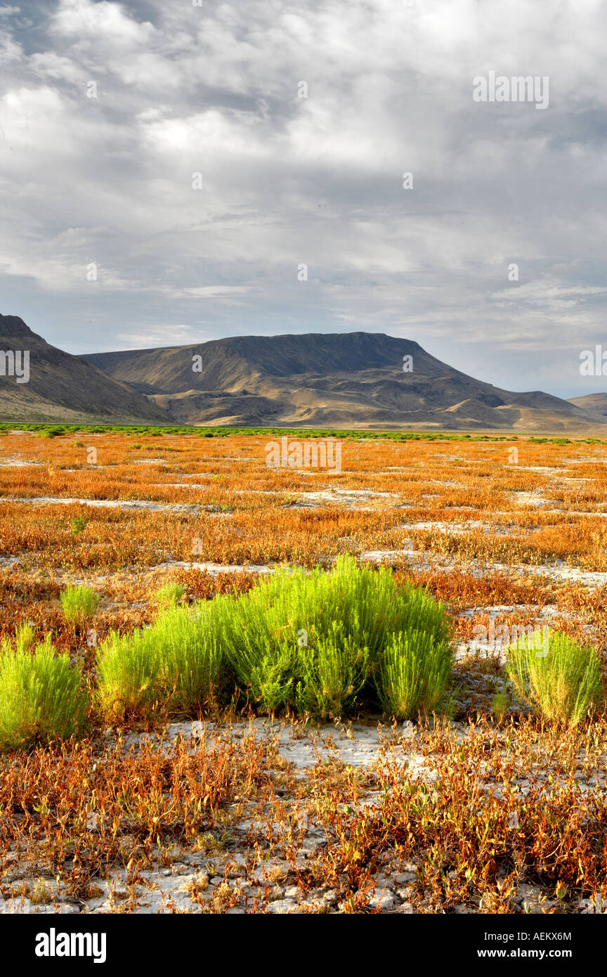 Prato di fango serbatoio senza acqua Black Rock Desert National Conservation Area Nevada Foto Stock