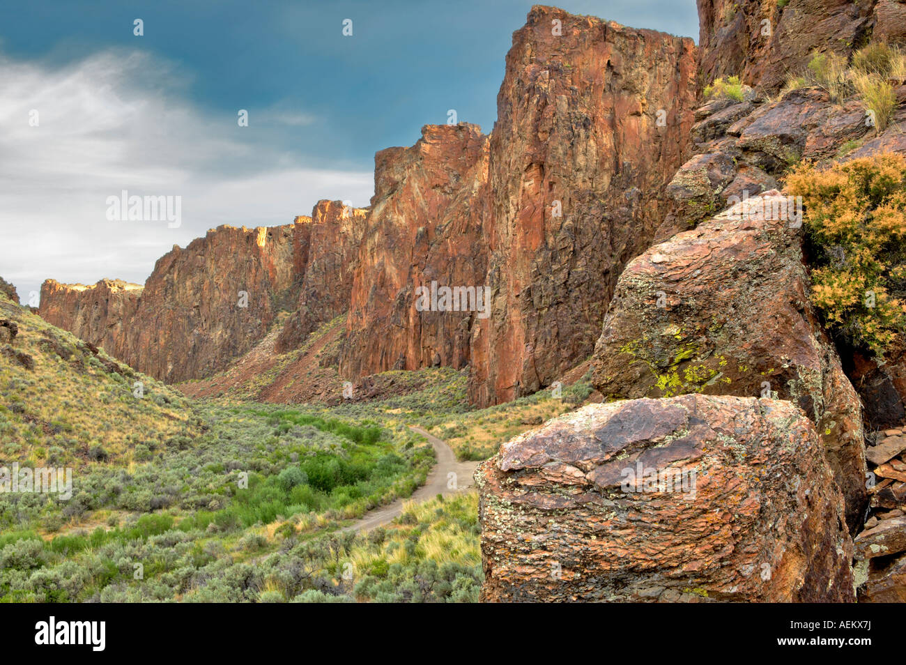 La strada attraverso High Rock Canyon Black Rock Desert National Conservation Area Nevada Foto Stock