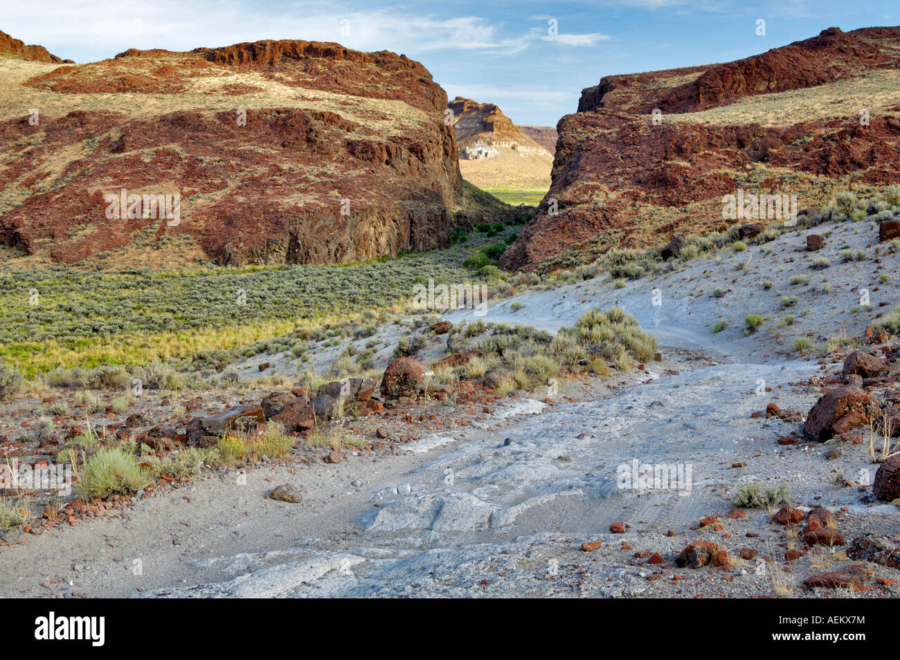 La trazione a quattro ruote motrici su strada attraverso High Rock Canyon Black Rock Desert National Conservation Area Nevada Foto Stock