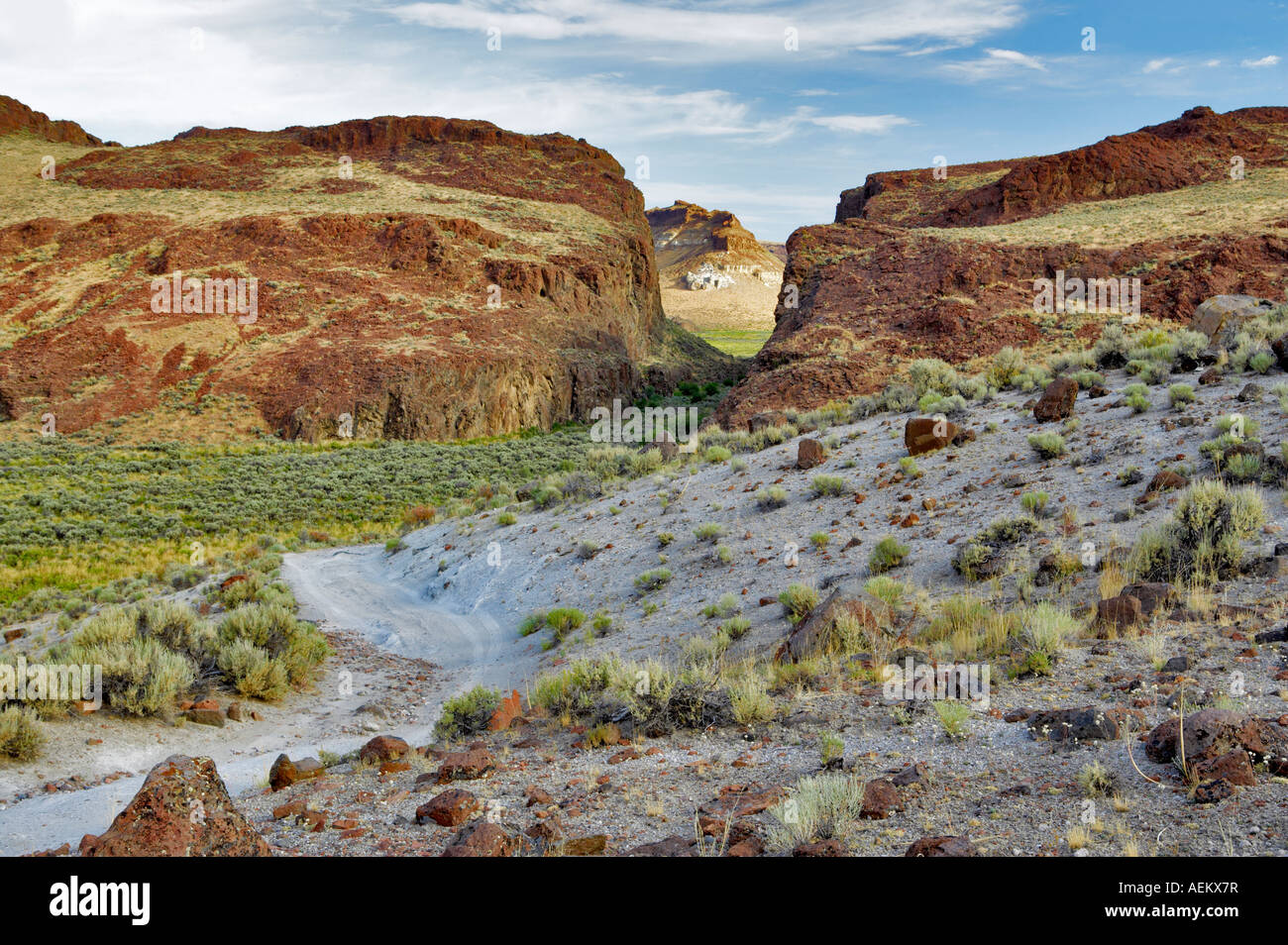 La trazione a quattro ruote motrici su strada attraverso High Rock Canyon Black Rock Desert National Conservation Area Nevada Foto Stock