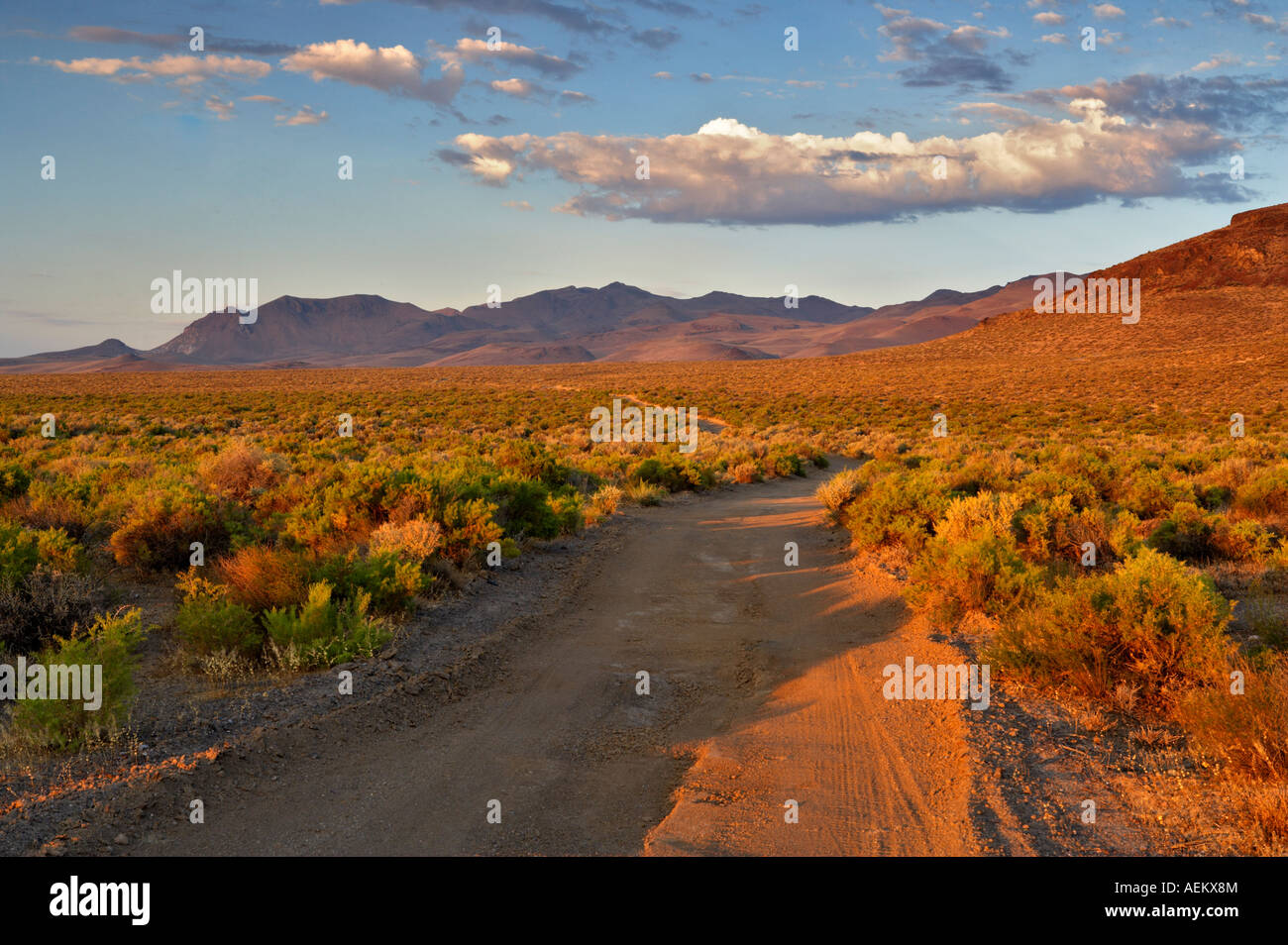 Strada sterrata Black Rock Desert National Conservation Area Nevada Foto Stock