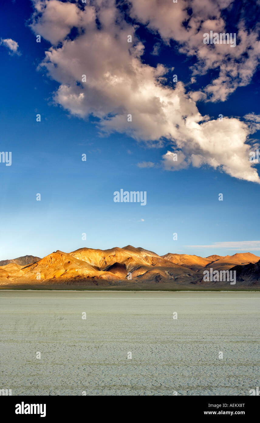 Appartamenti alcalino di Black Rock Desert National Conservation Area Nevada Foto Stock