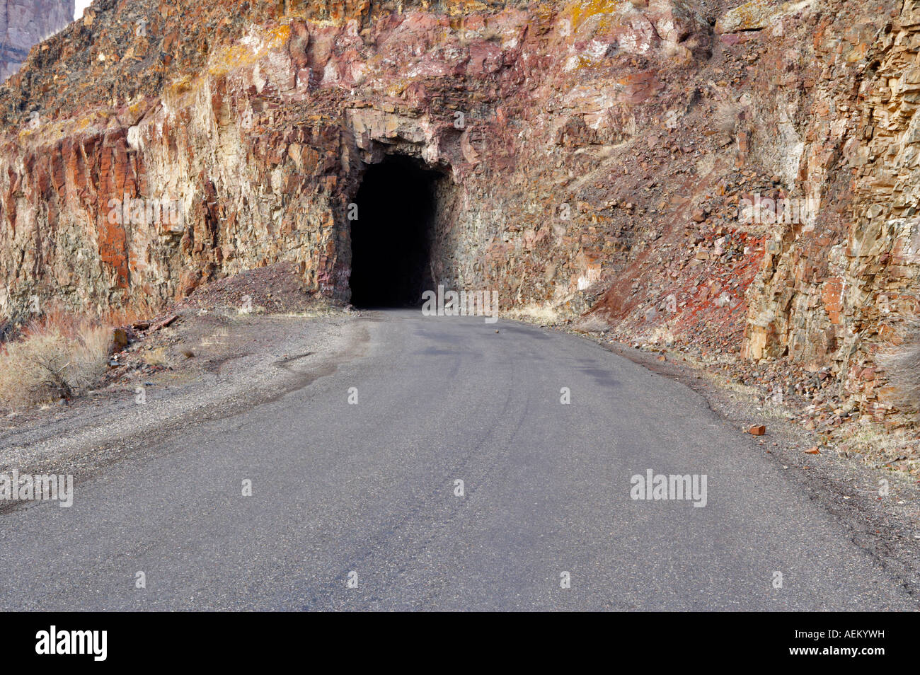 Strada sul fiume Owyhee con tunnel Oregon Foto Stock