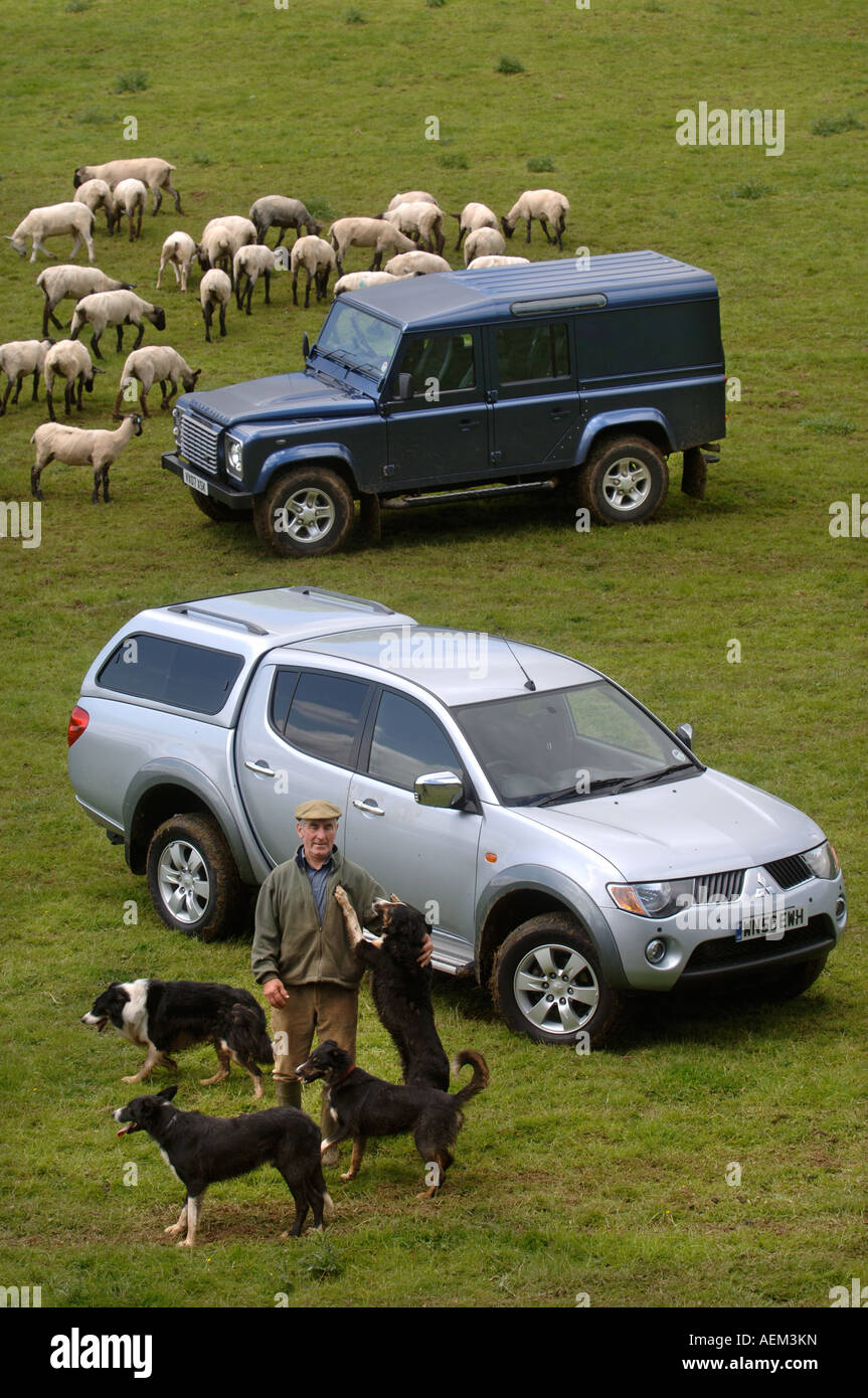 Un Allevatore ovino con la sua fattoria SHEEPDOGS VEICOLI E UN recentemente troncare gregge nel Gloucestershire Farm Regno Unito Foto Stock