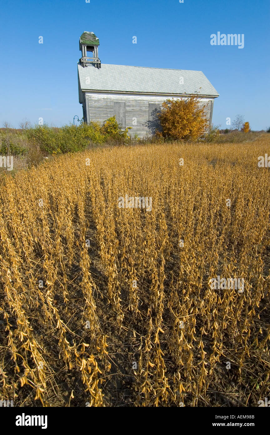 Un abbandonato una camera school house si trova in un campo di fagioli di soia pronto per la mietitura Port Huron Michigan Foto Stock