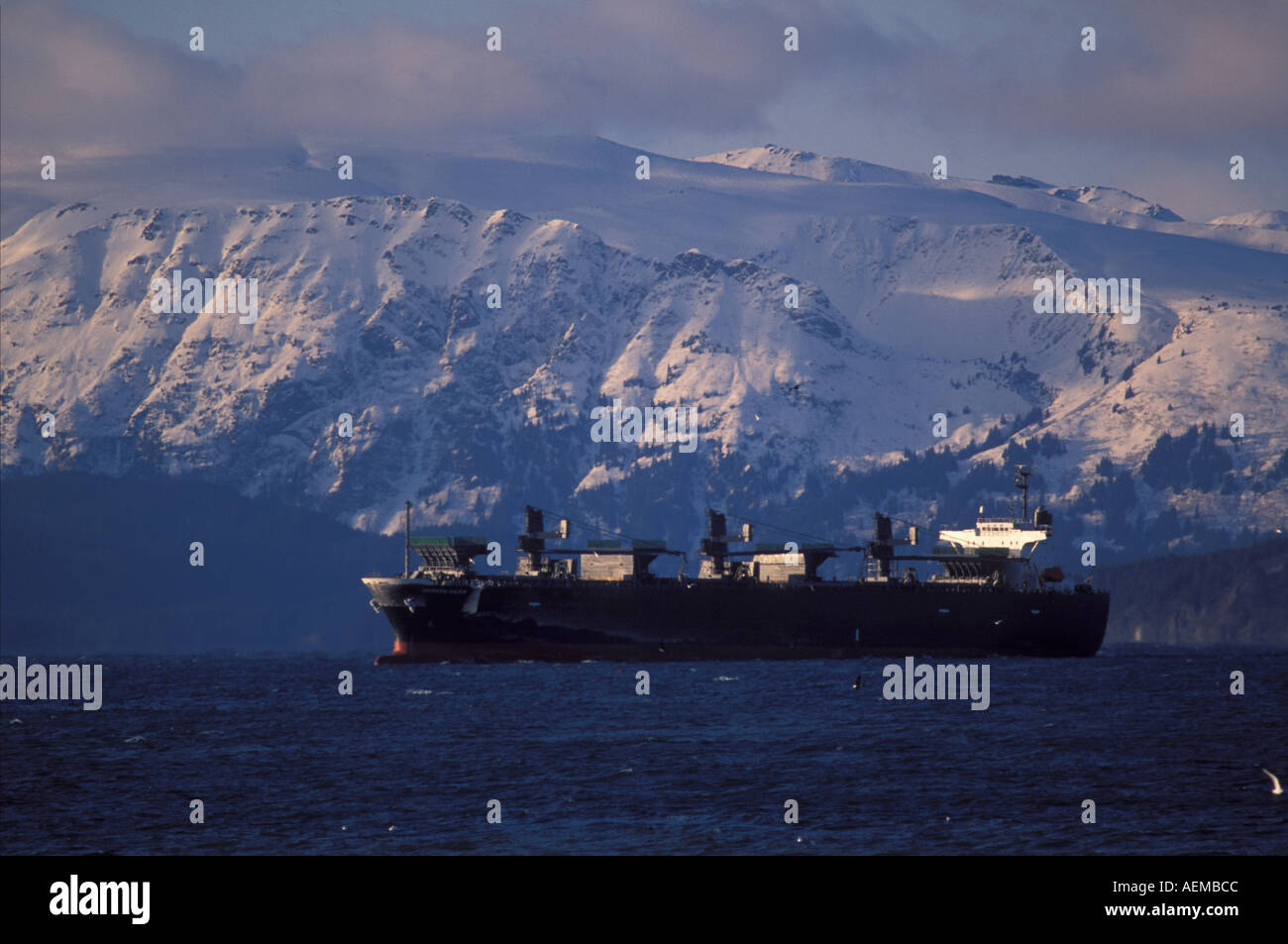 Bulkcarrier nave ancorata in attesa di cambiamento di marea Kachemak Bay con Kenai Mountains inverno Alaska Foto Stock