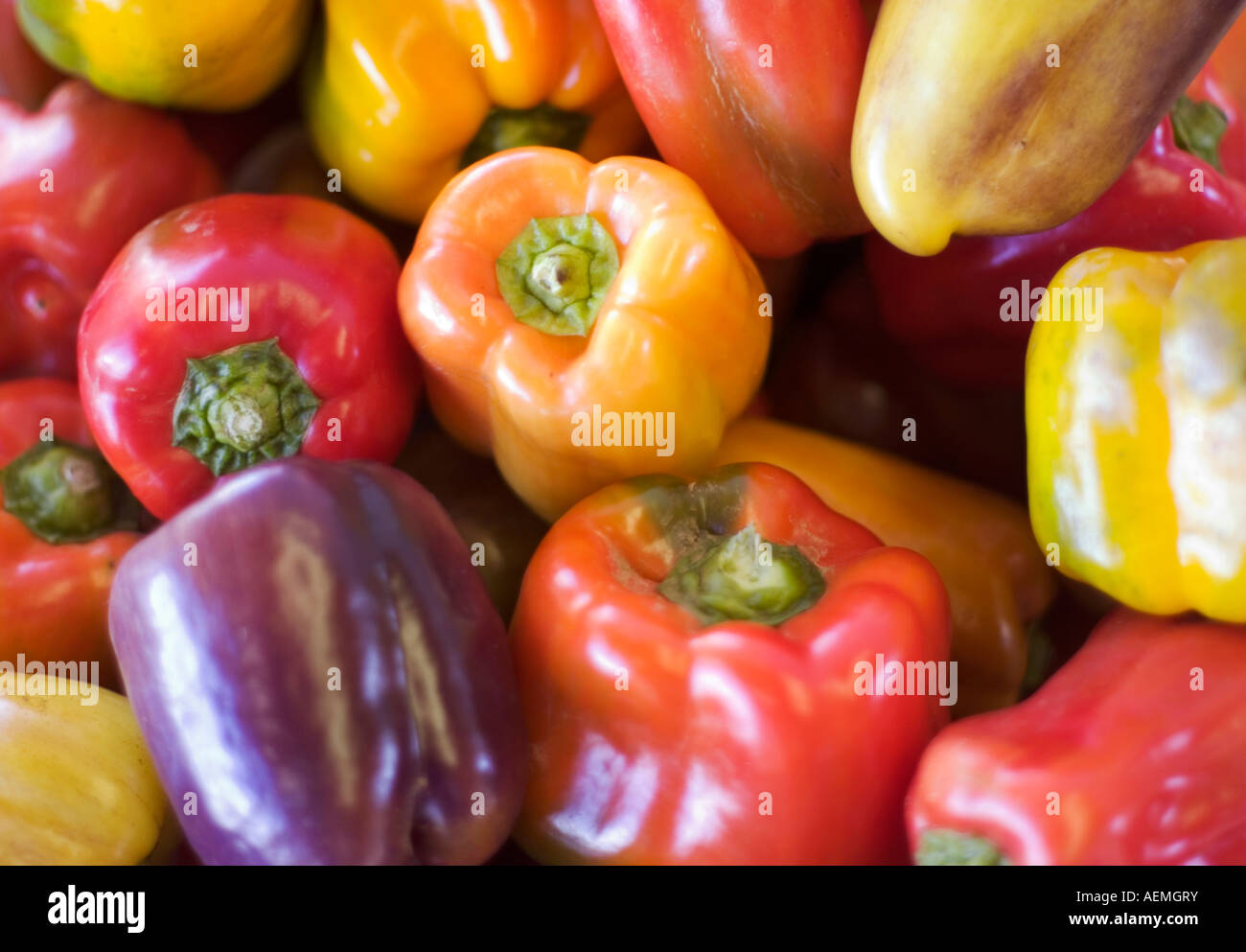 Multi-colore i peperoni in un mercato locale. Foto Stock