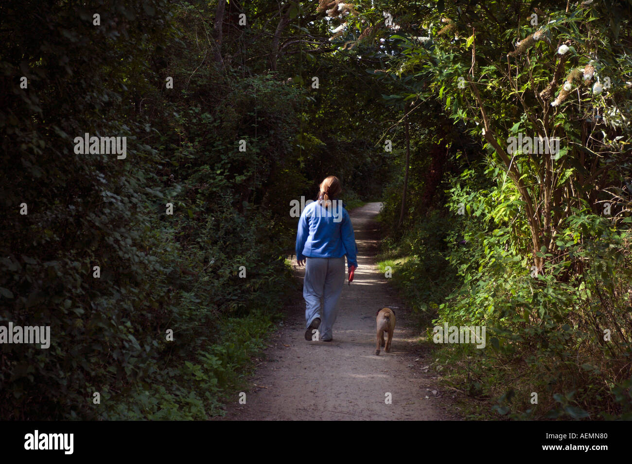 Passeggiate con il cane lungo il sentiero del Wivenhoe Colchester questo percorso tra mogliano veneto e Colchester è molto utilizzato da escursionisti jogger Foto Stock