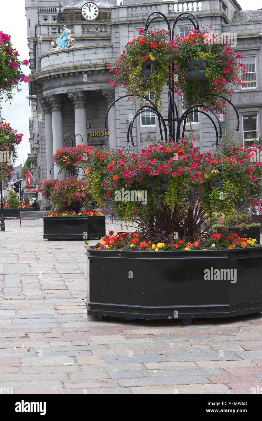 Aberdeen Castlegate Display floreali, Aberdeenshire, Regno Unito Foto Stock