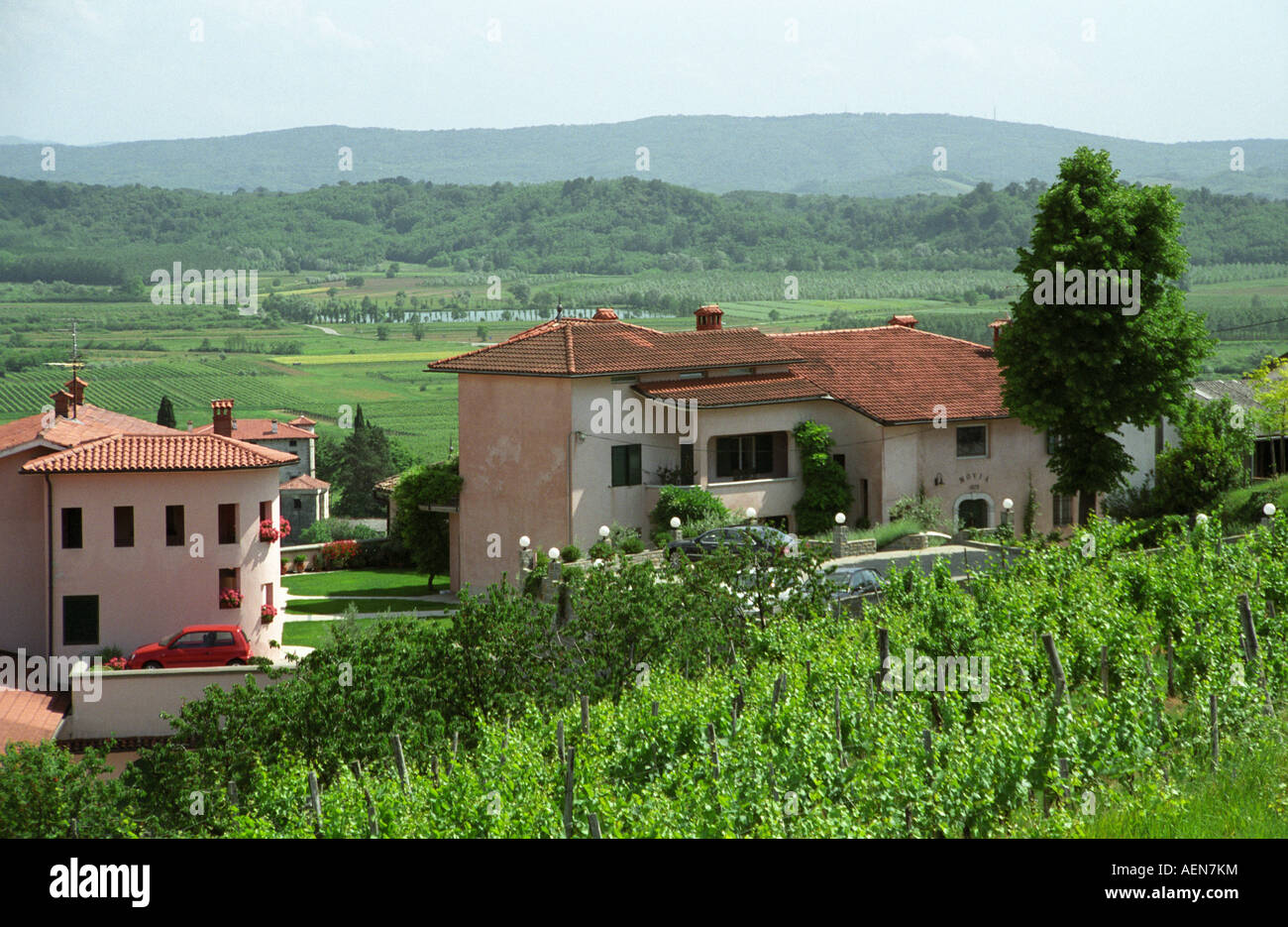 Vigneto. Vista da Majan Simcic's Cantina oltre il confine italiano. Brda, regione vinicola del litorale, Slovenia Foto Stock