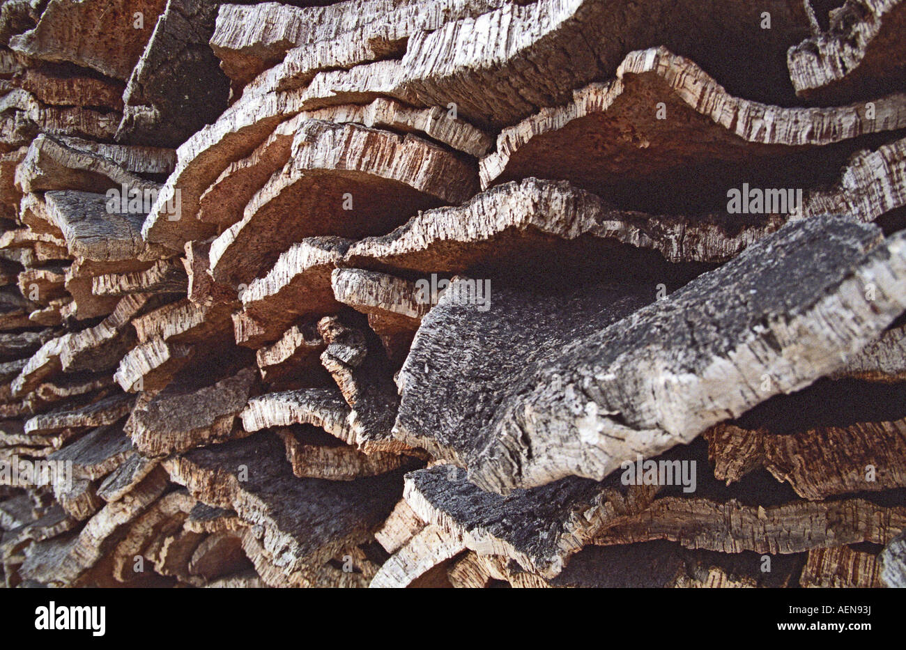 Grande pila di memorizzati querce da sughero in corteccia di albero. Appena raccolte, essiccazione all'esterno. Amorim cork impianto di produzione. Alentejo, Portogallo Foto Stock