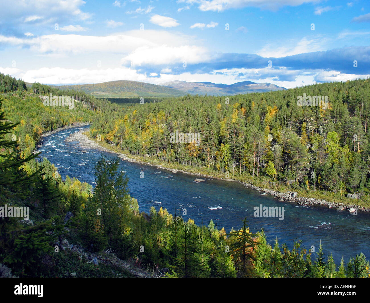 Fiume che scorre attraverso la valle verde, Jotunheimen, Norvegia Foto Stock