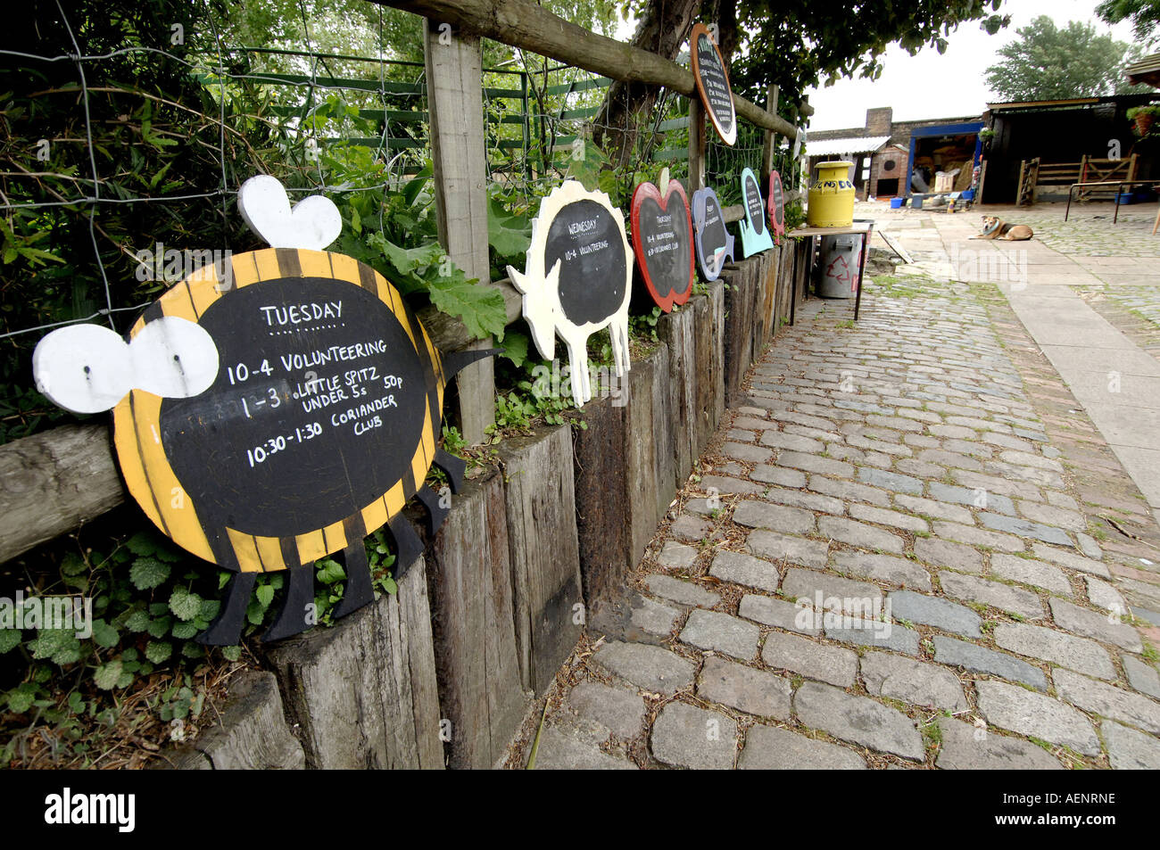 Spitalfields City Farm London REGNO UNITO Foto Stock