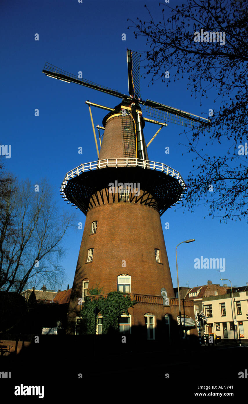 Utrecht il mulino a vento di massima sul Adelaarstraat Foto Stock