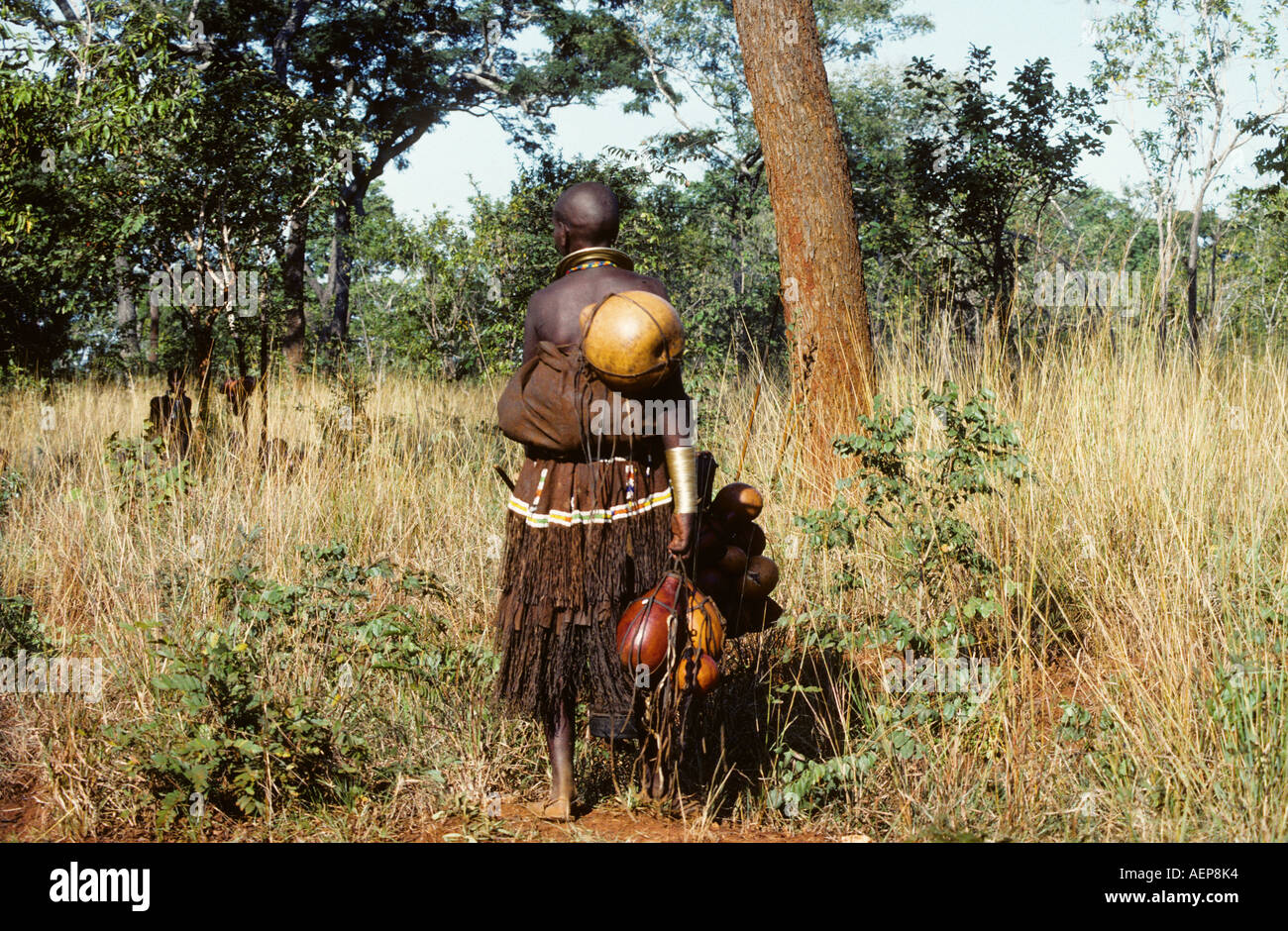 AF Tanzania. Un solitario Massai donna ritiri in lui boschi presso l'aspetto di un'auto. Foto Stock