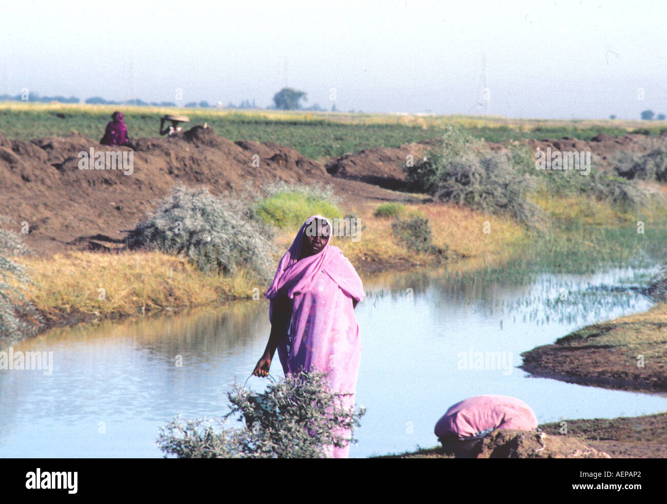 Sudan: un solitario donna con il suo servizio lavanderia da un canale vicino al Nilo Foto Stock