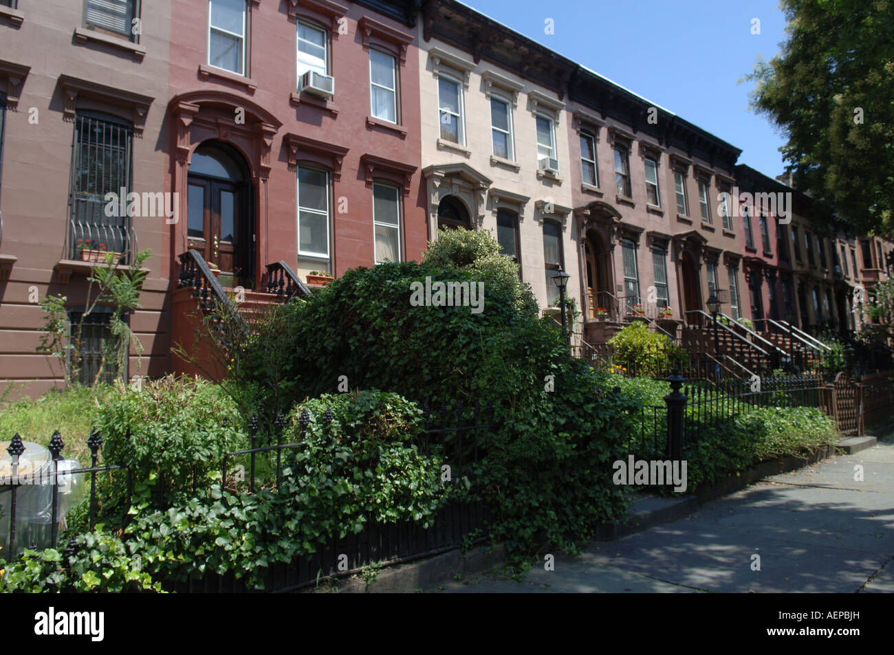 Case di arenaria in Bedford Stuyvesant quartiere di Brooklyn a New York Foto Stock