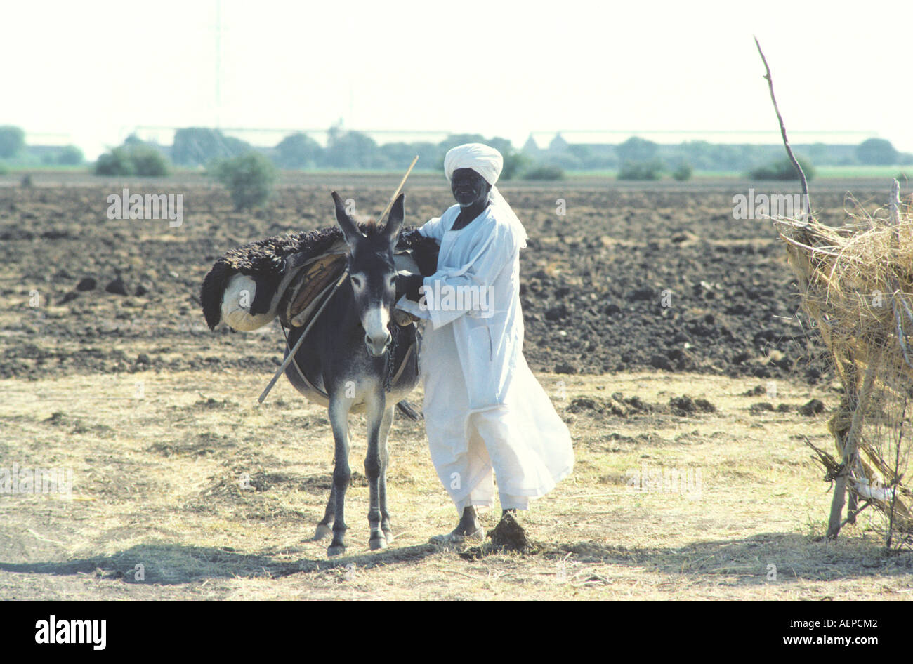SUDAN un agricoltore con il suo asino Foto Stock