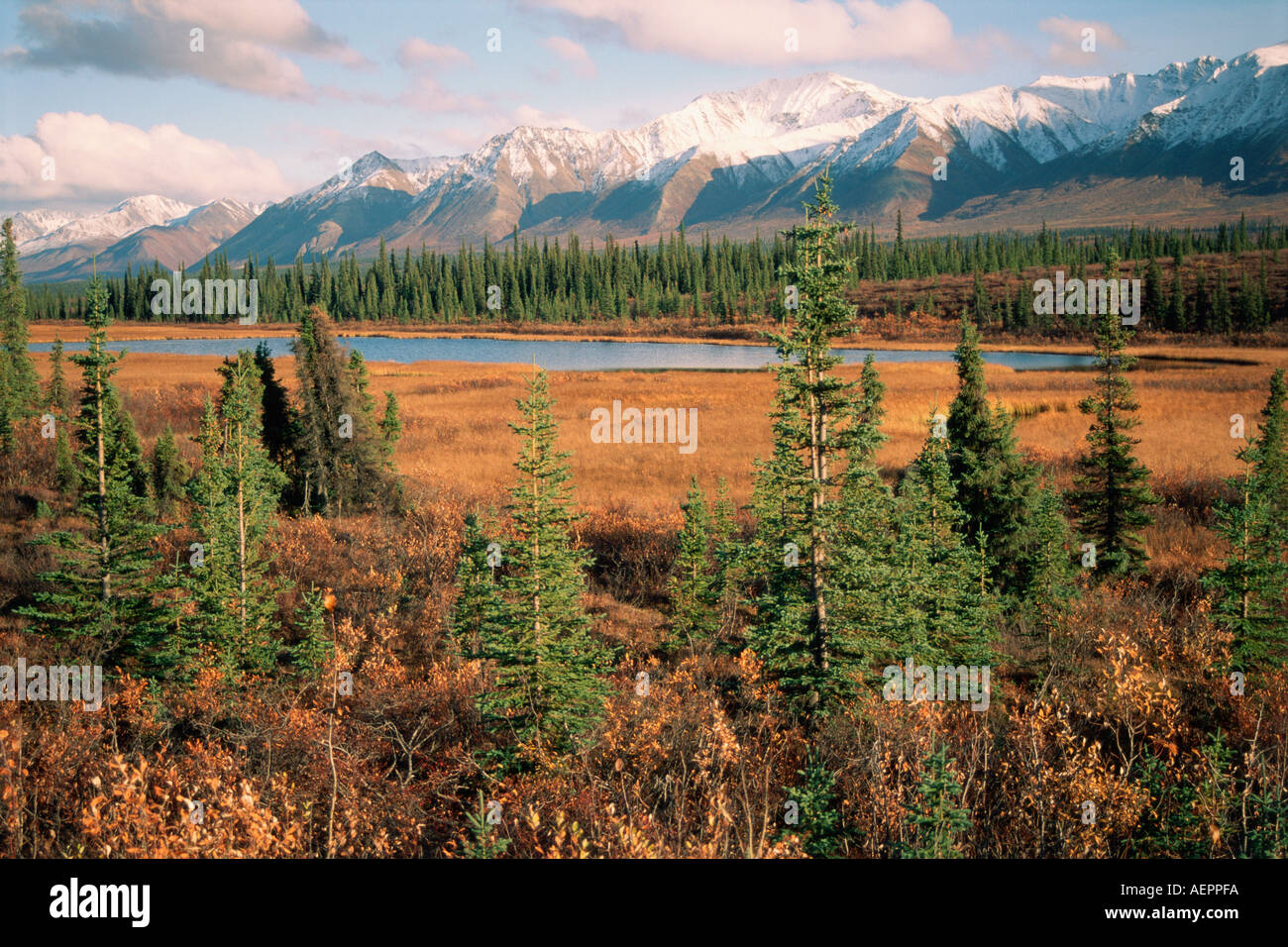 Paesaggio di caduta lungo la Dalton Highway interno dell Alaska Foto Stock